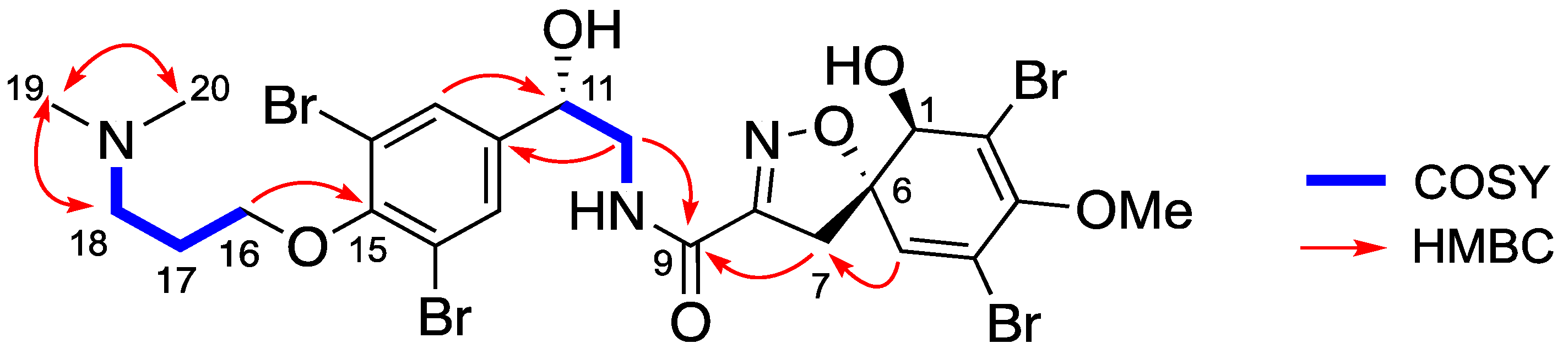 Marinedrugs 19 00143 g008