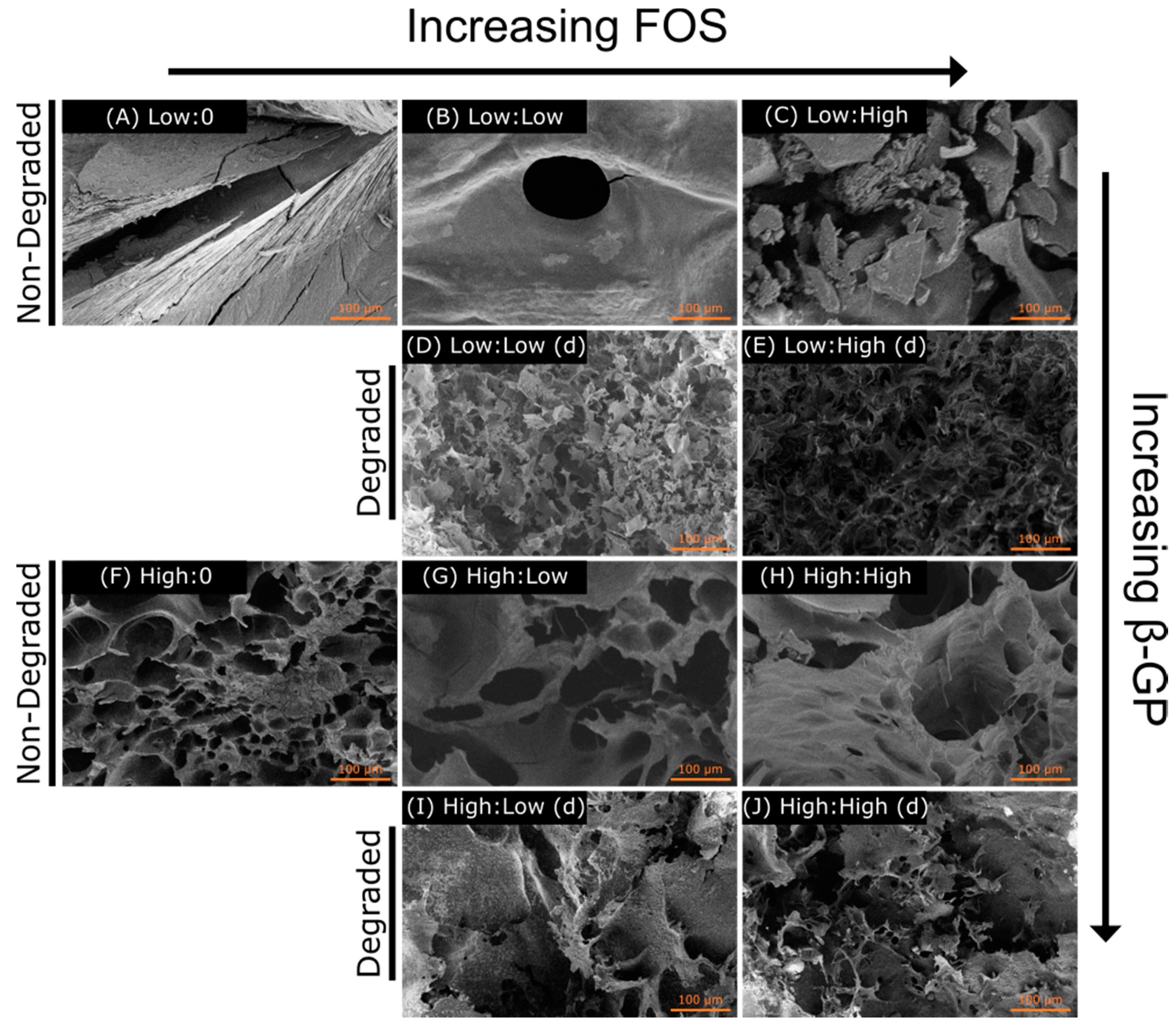 Marinedrugs 19 00144 g005