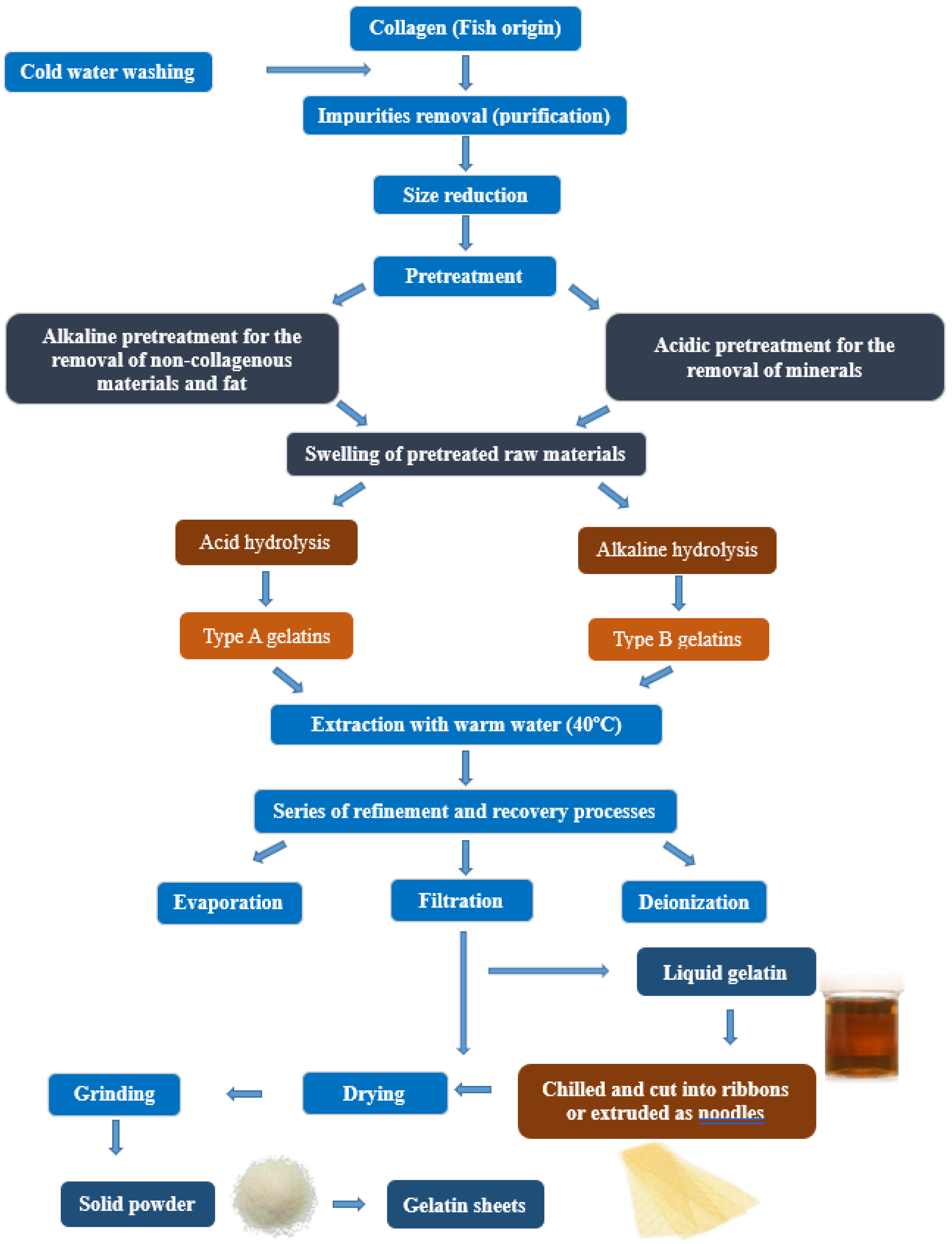 Marinedrugs 19 00145 g001 Marinedrugs 19 00145 g001