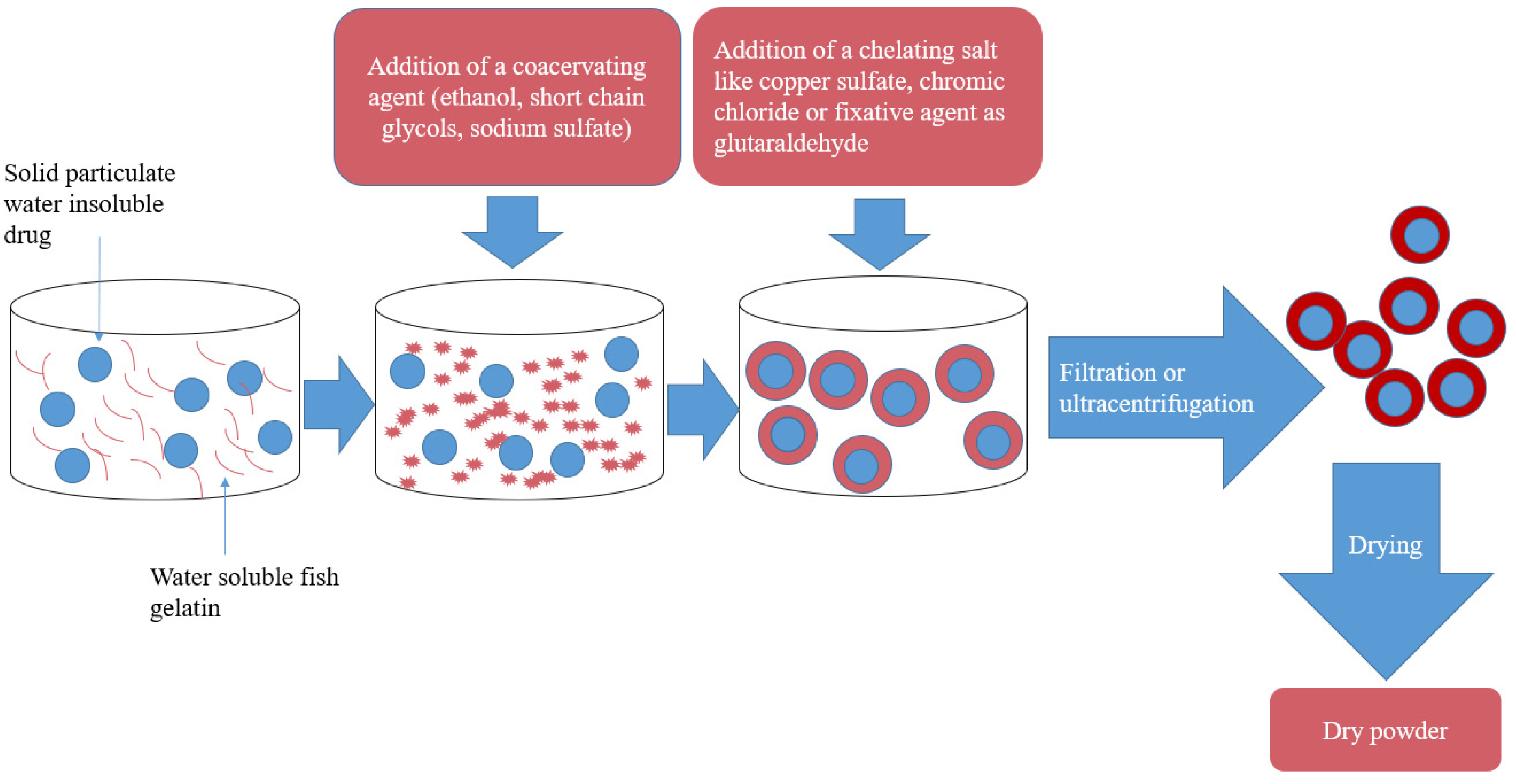 Marinedrugs 19 00145 g004 Marinedrugs 19 00145 g004