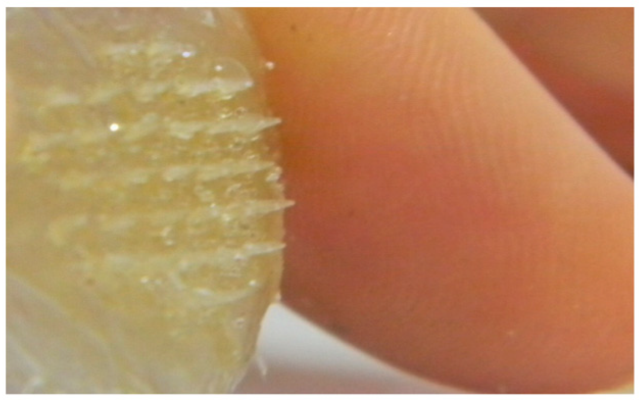 Marinedrugs 19 00145 g006 Marinedrugs 19 00145 g006