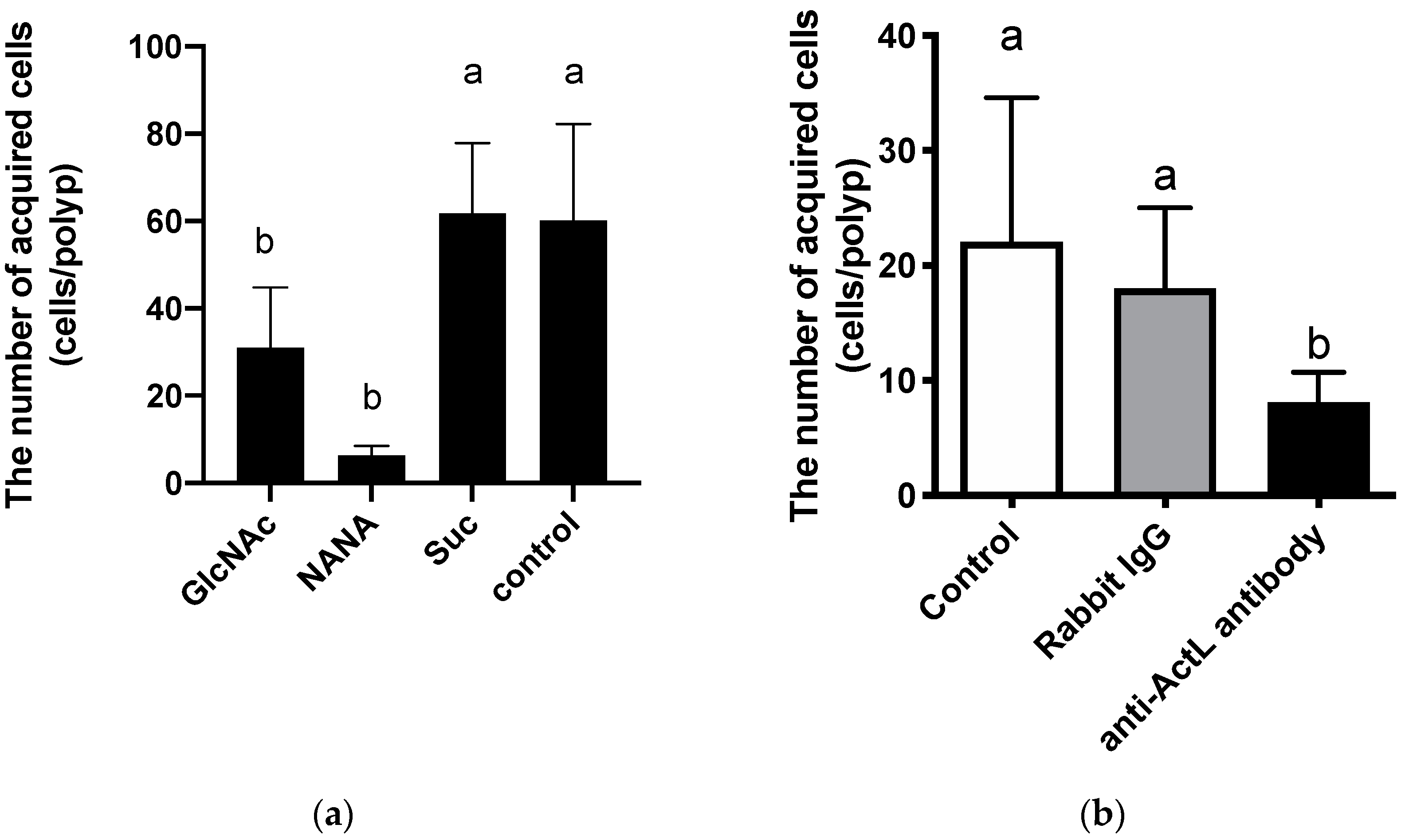 Marinedrugs 19 00146 g001