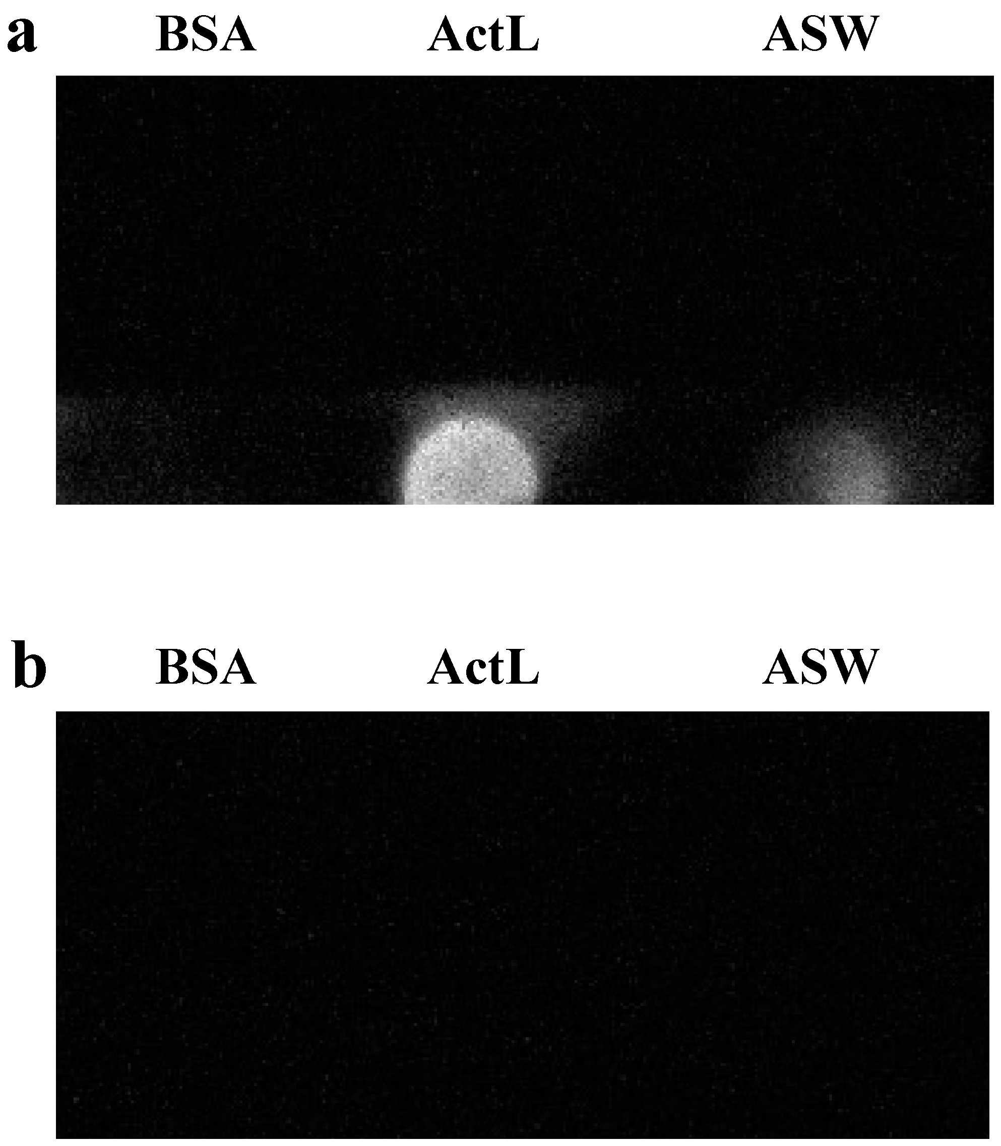 Marinedrugs 19 00146 g002