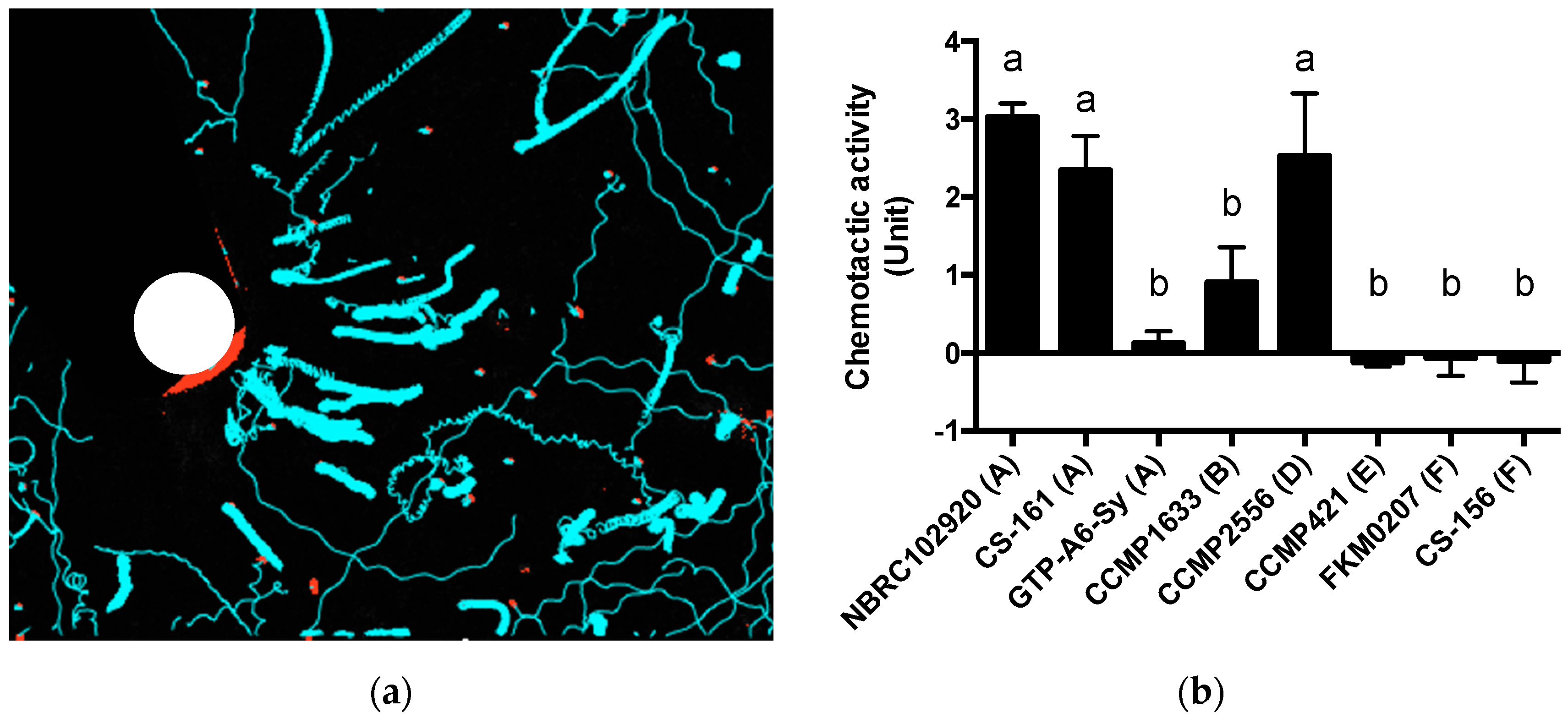 Marinedrugs 19 00146 g003