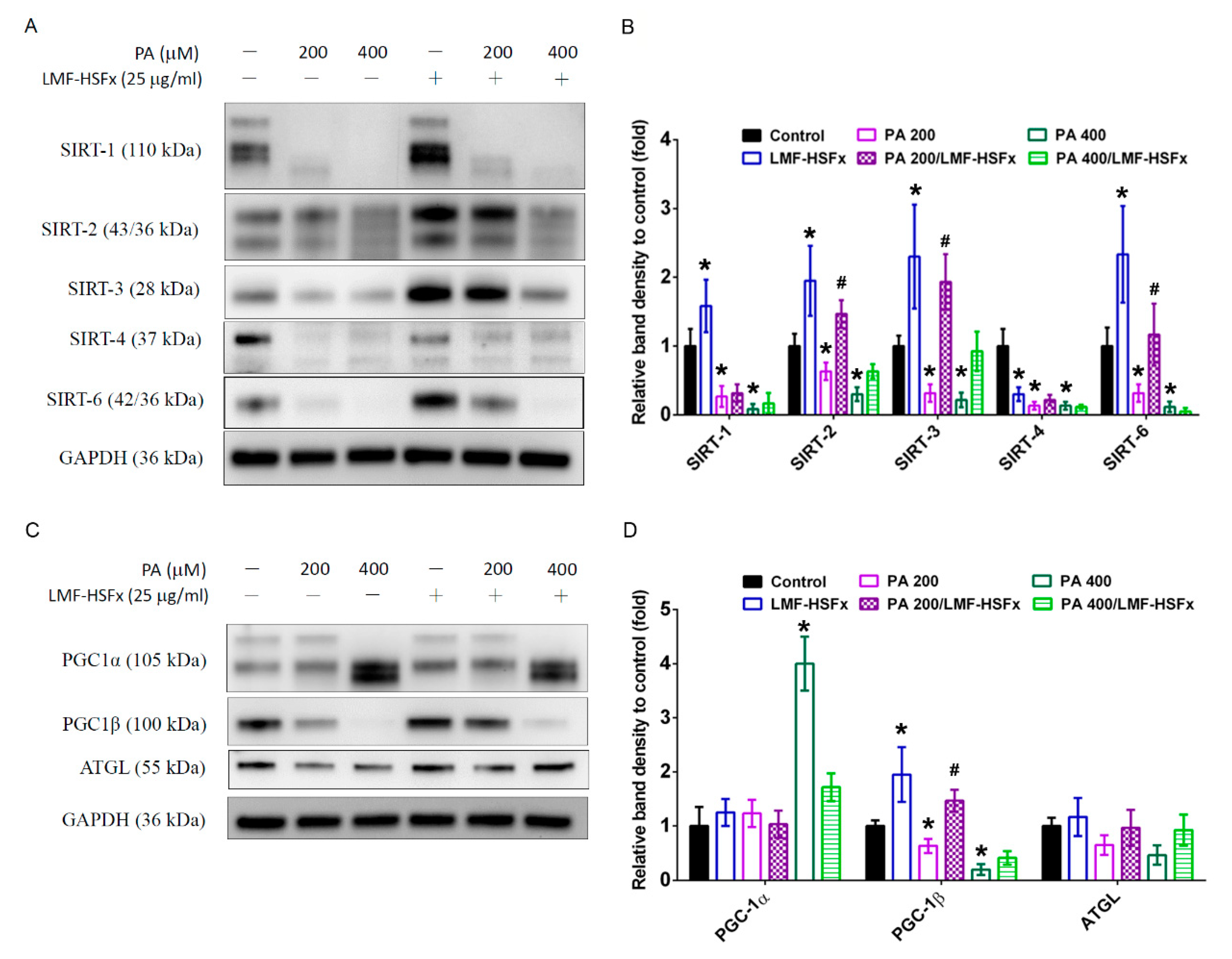 Marinedrugs 19 00148 g007 Marinedrugs 19 00148 g007