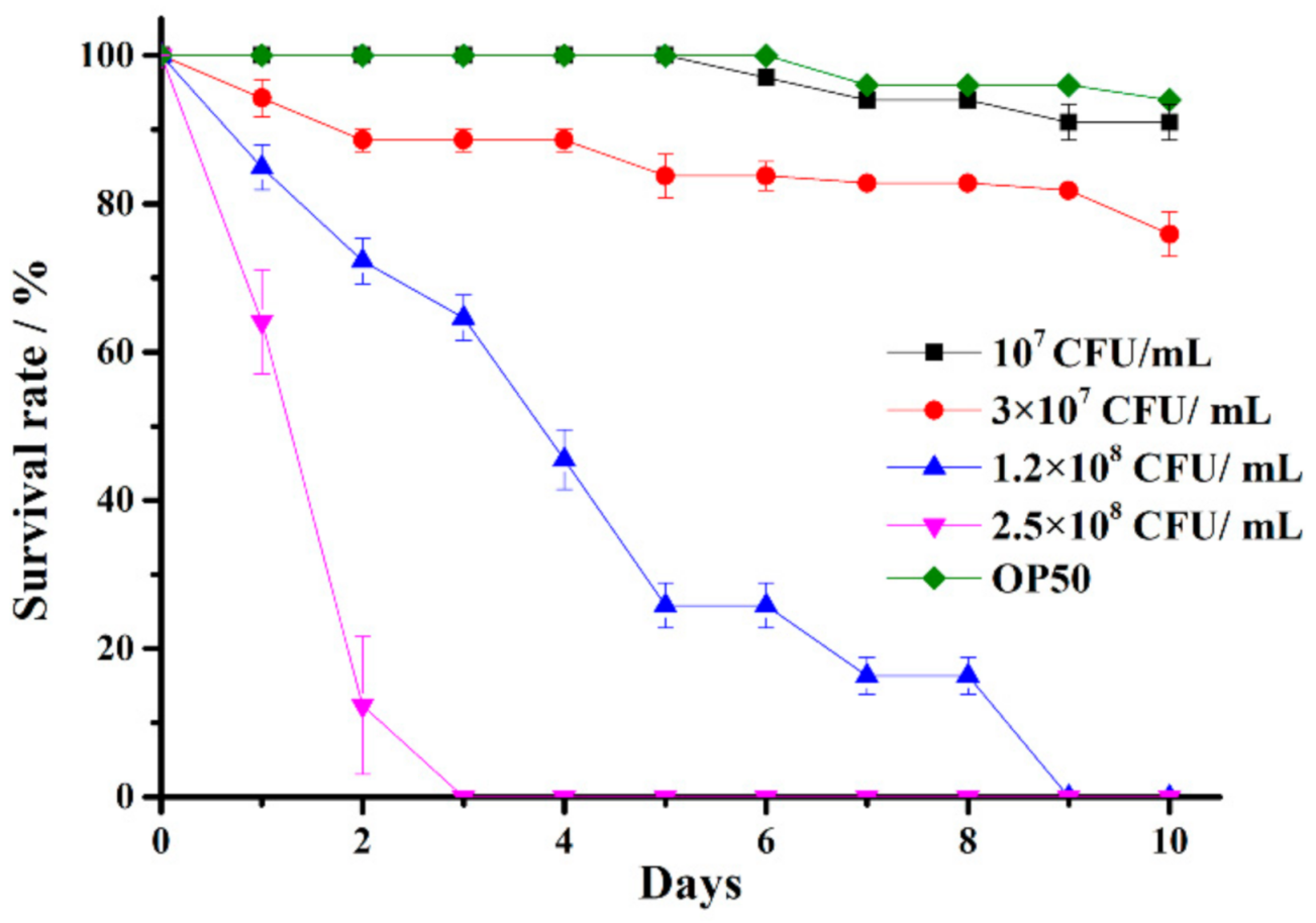 Marinedrugs 19 00150 g001 Marinedrugs 19 00150 g001