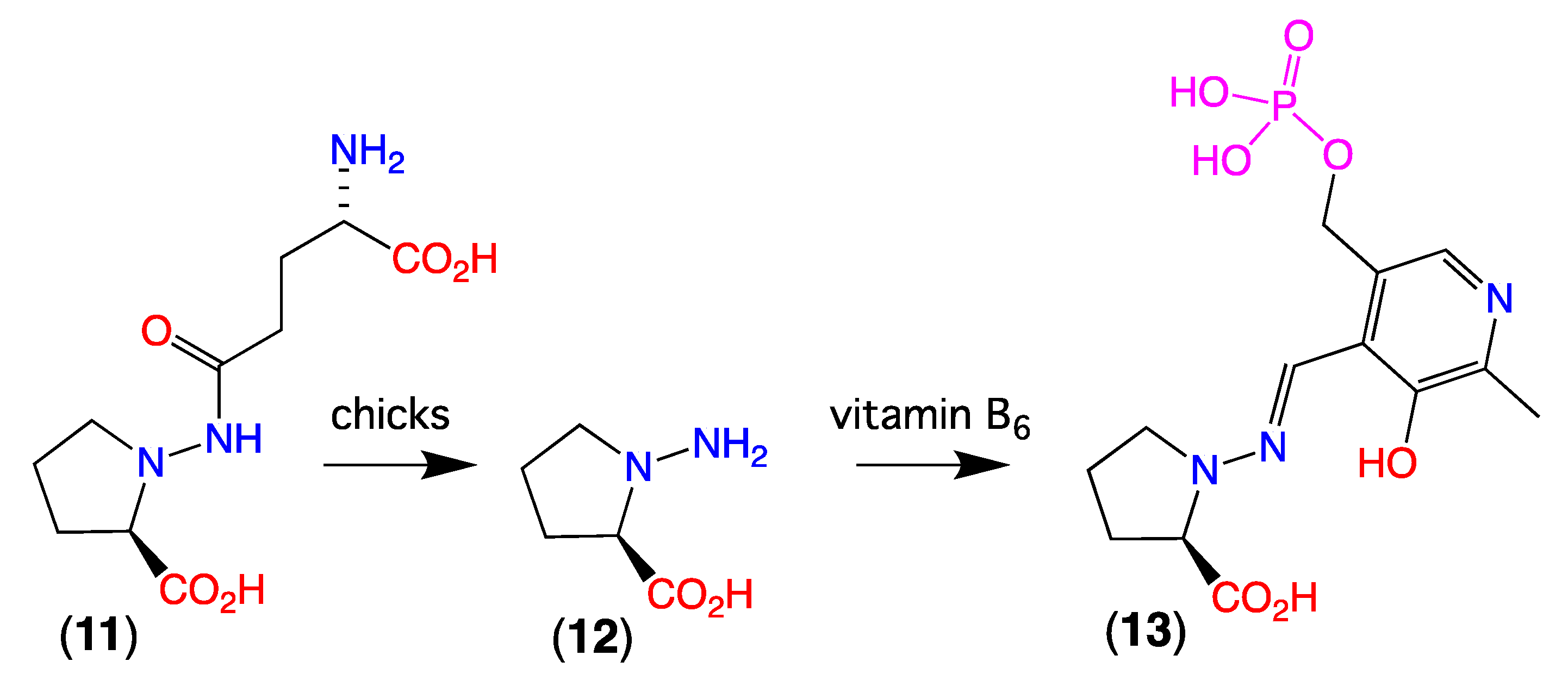 Marinedrugs 19 00151 g010 550
