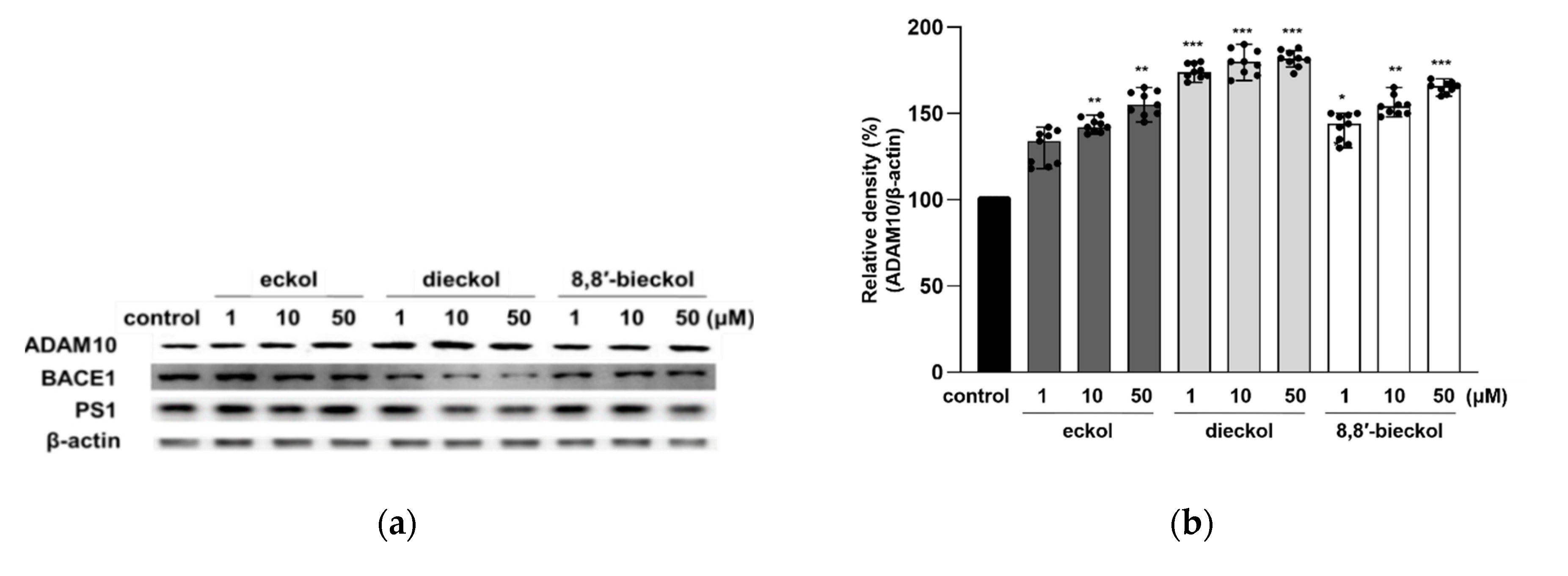 Marinedrugs 19 00152 g004a Marinedrugs 19 00152 g004a