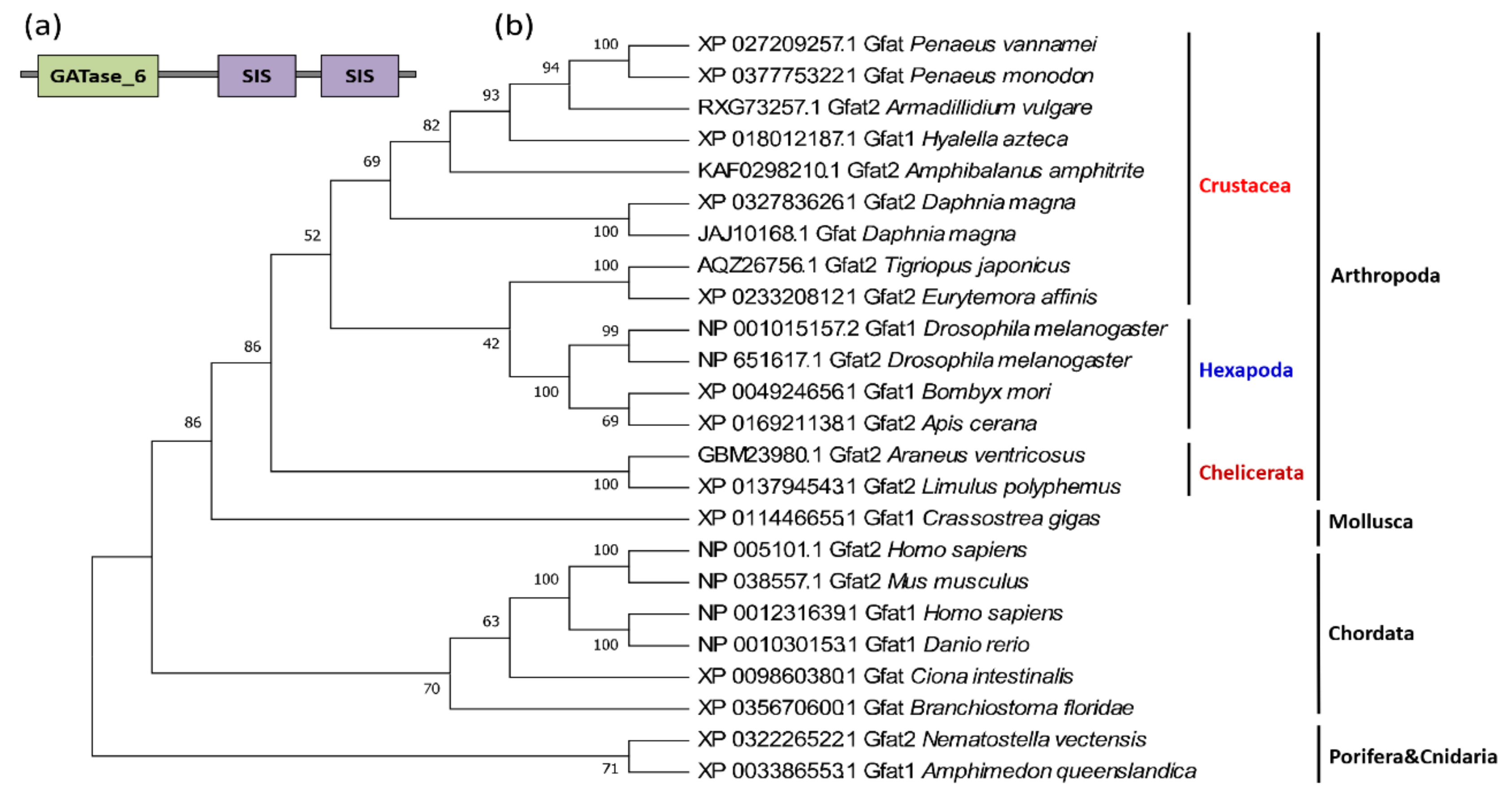 Marinedrugs 19 00153 g004