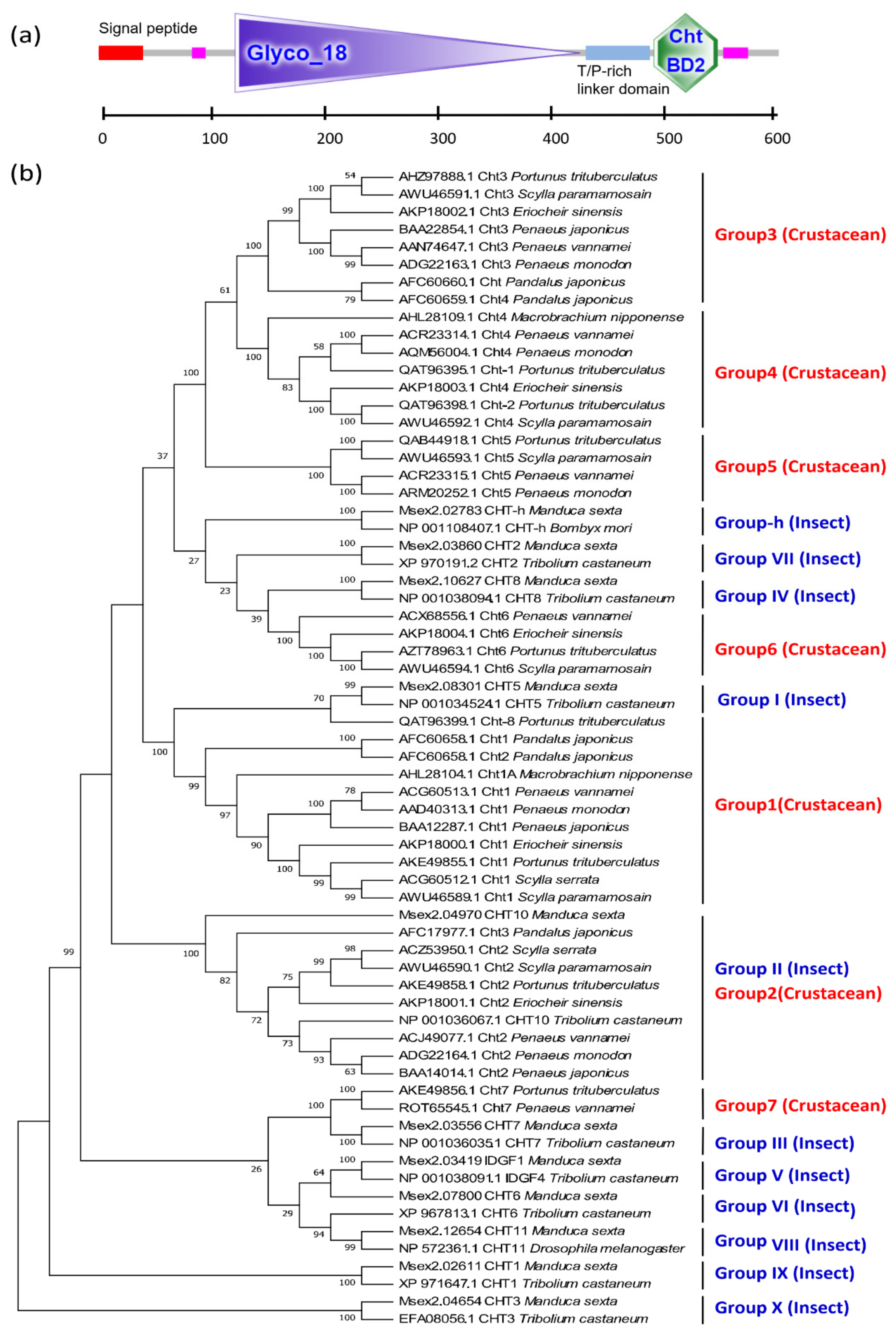 Marinedrugs 19 00153 g008