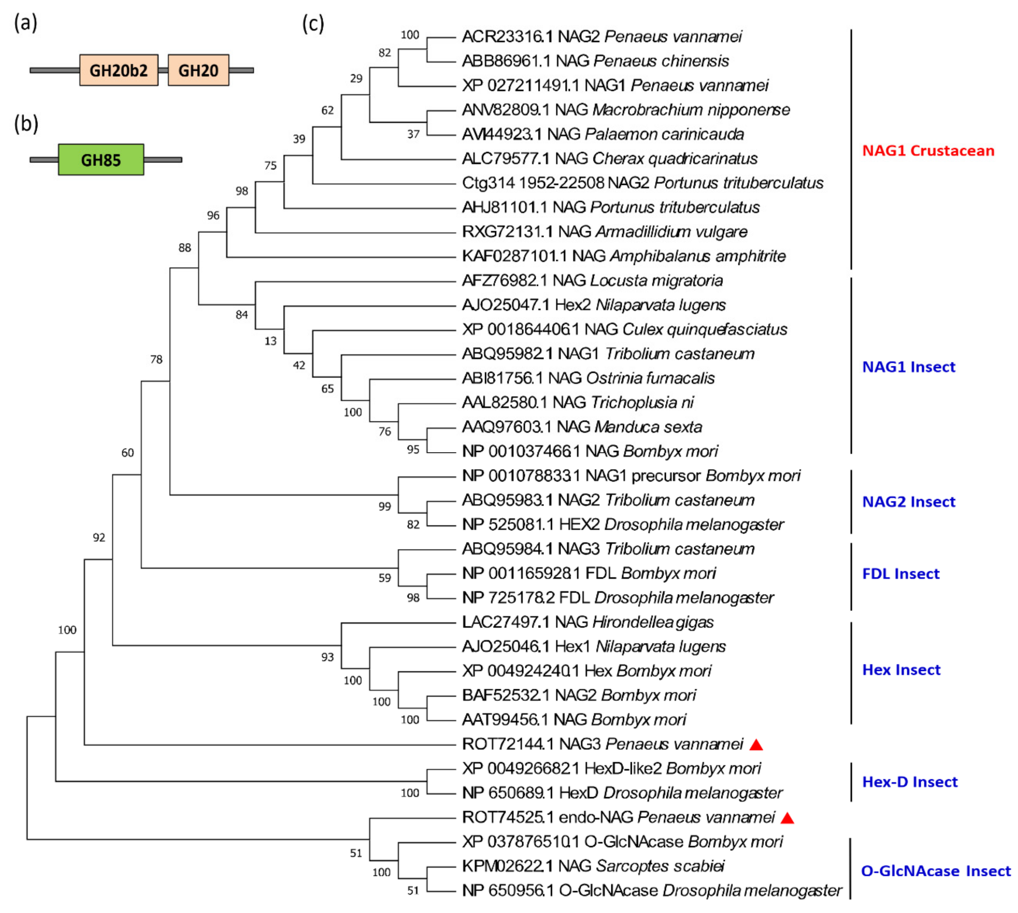 Marinedrugs 19 00153 g009