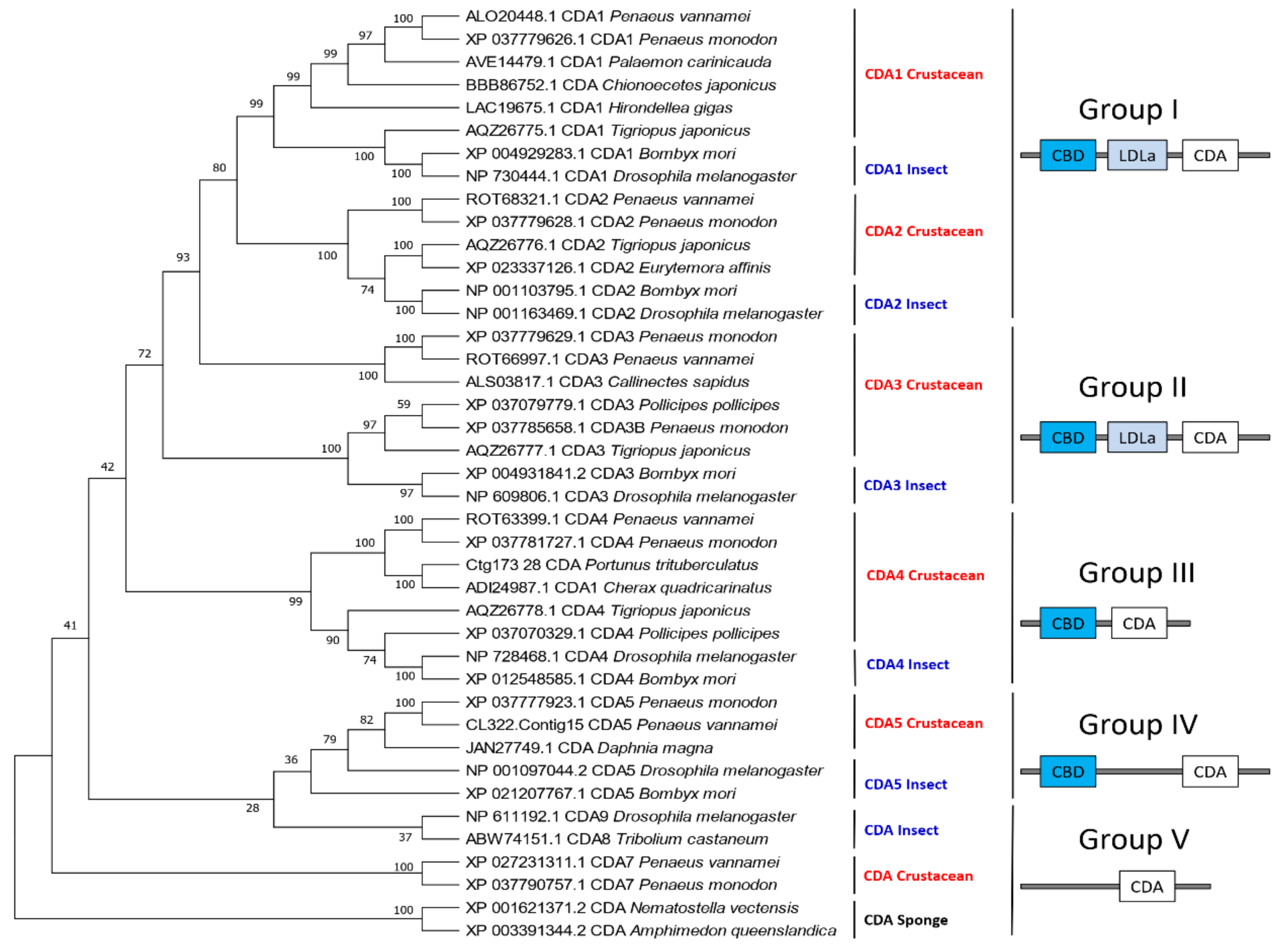 Marinedrugs 19 00153 g011