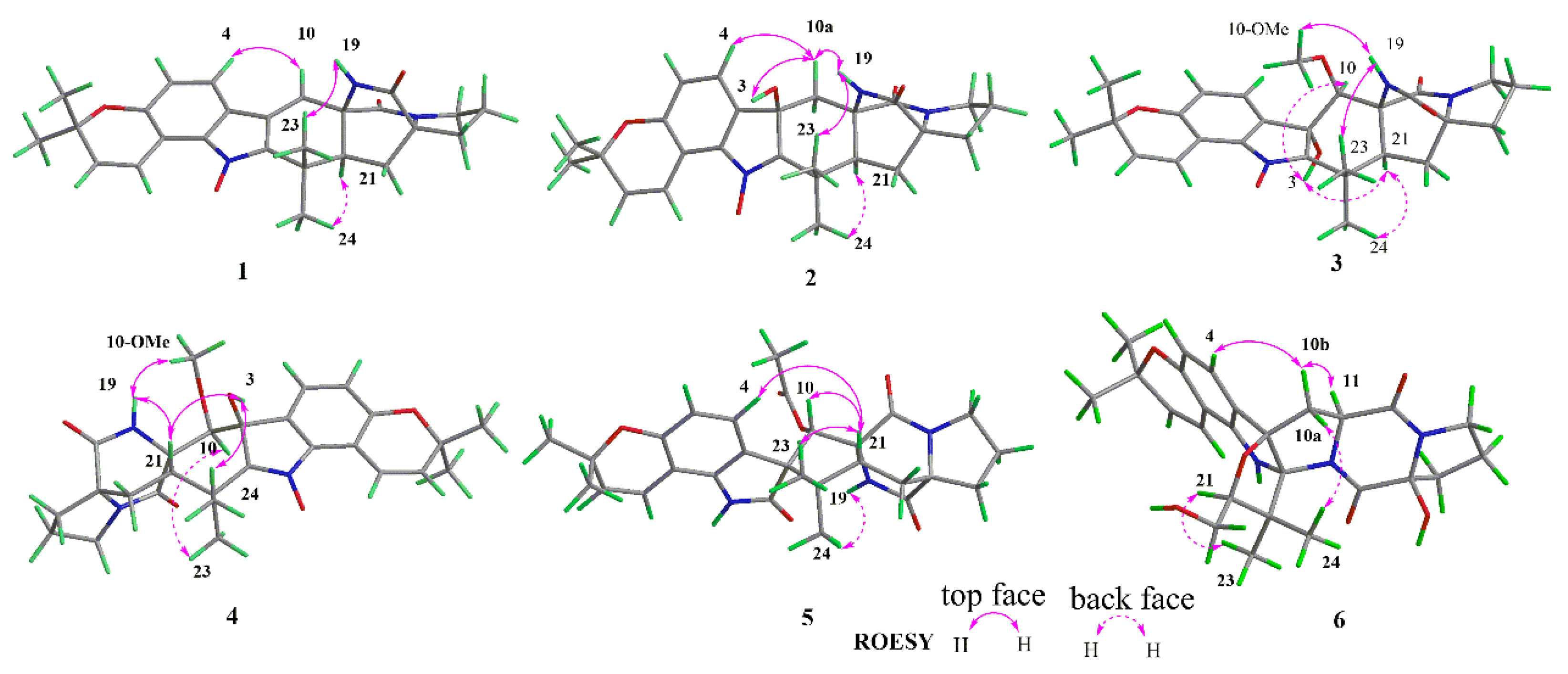 Marinedrugs 19 00157 g003
