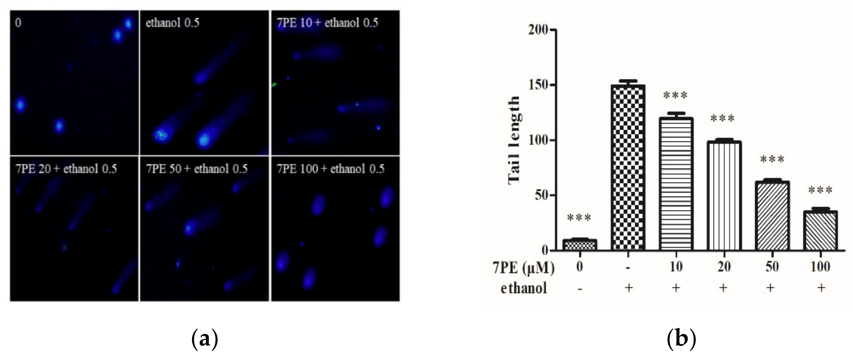 Marinedrugs 19 00158 g003 Marinedrugs 19 00158 g003