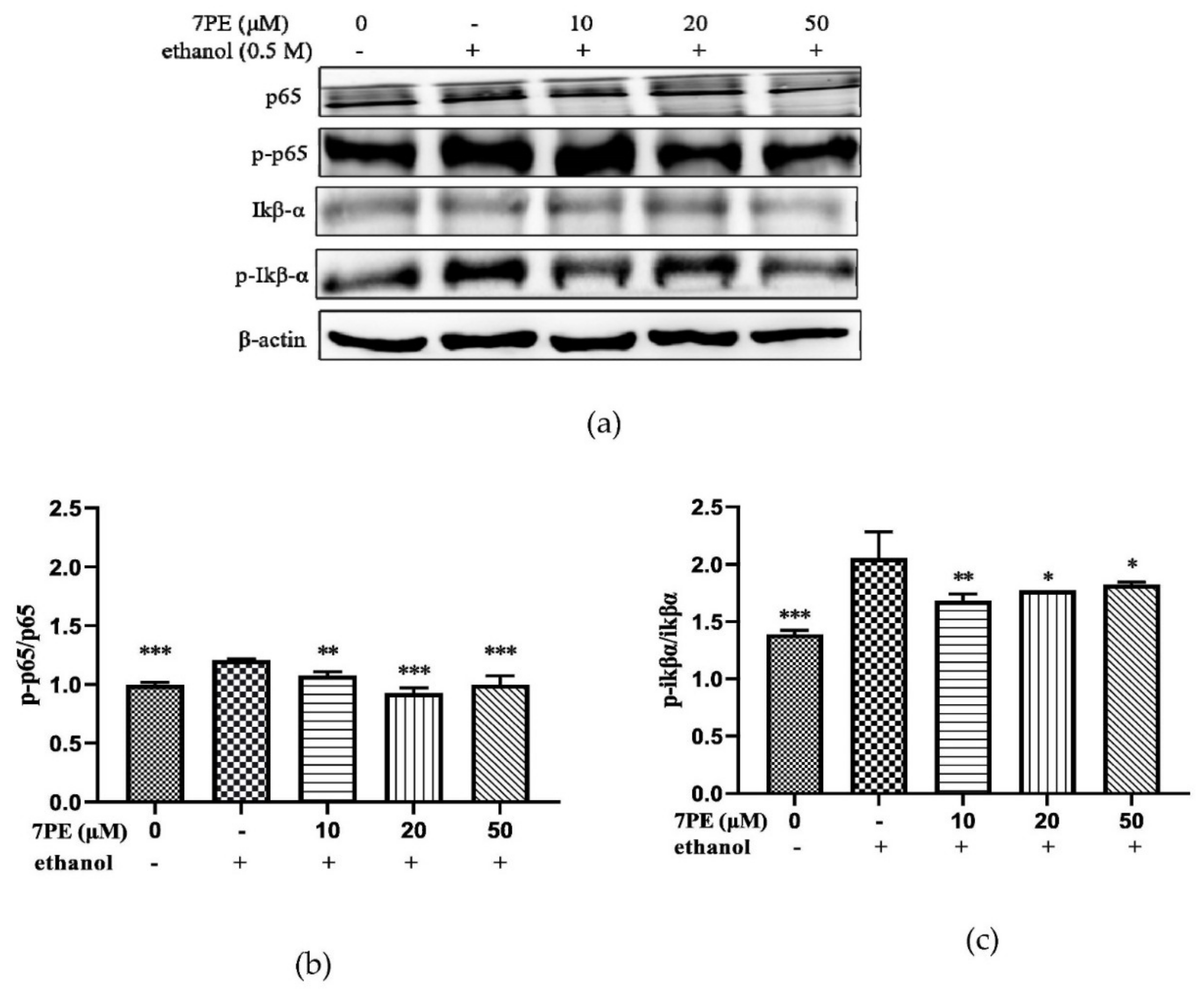 Marinedrugs 19 00158 g006 Marinedrugs 19 00158 g006