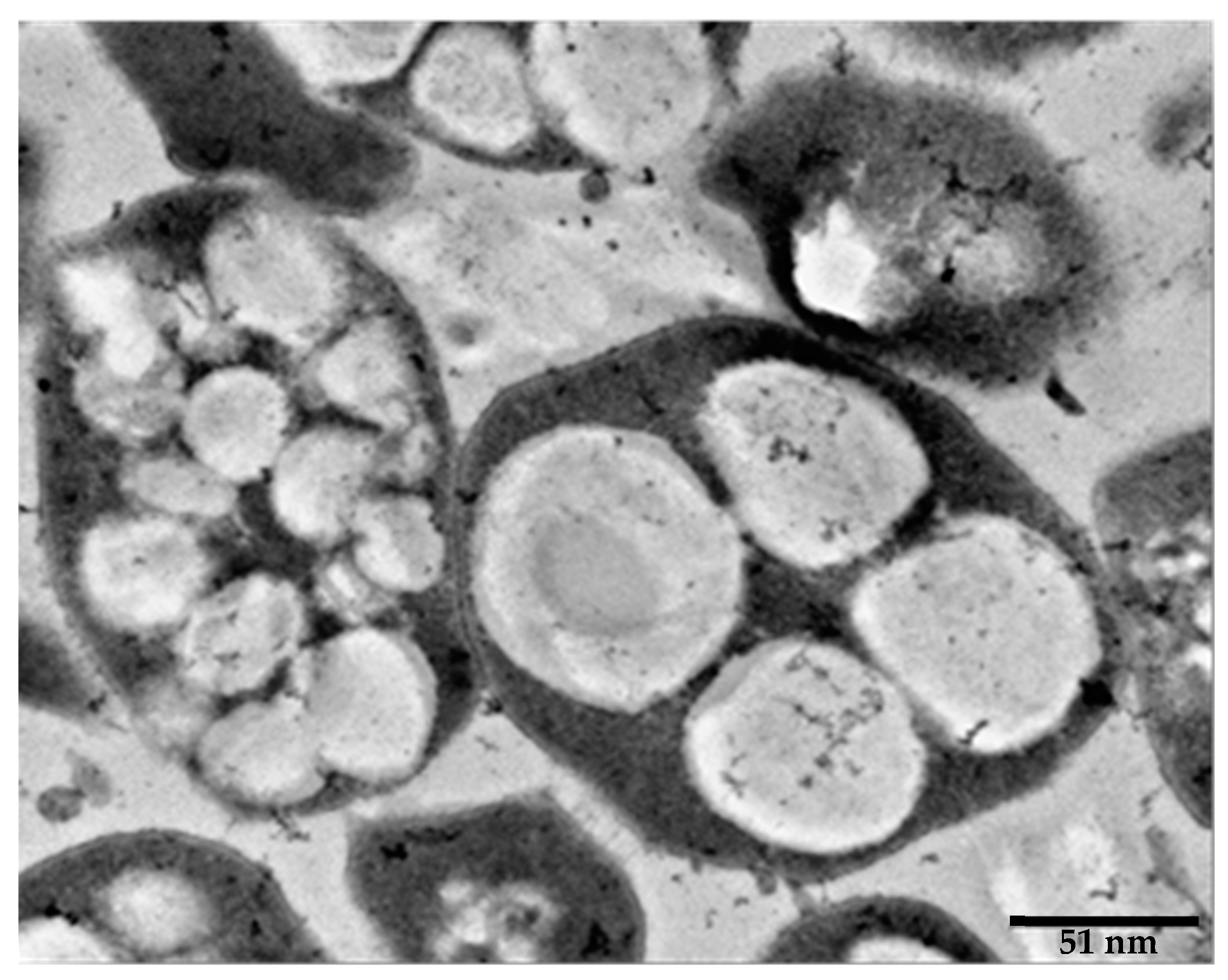 Marinedrugs 19 00159 g003 Marinedrugs 19 00159 g003