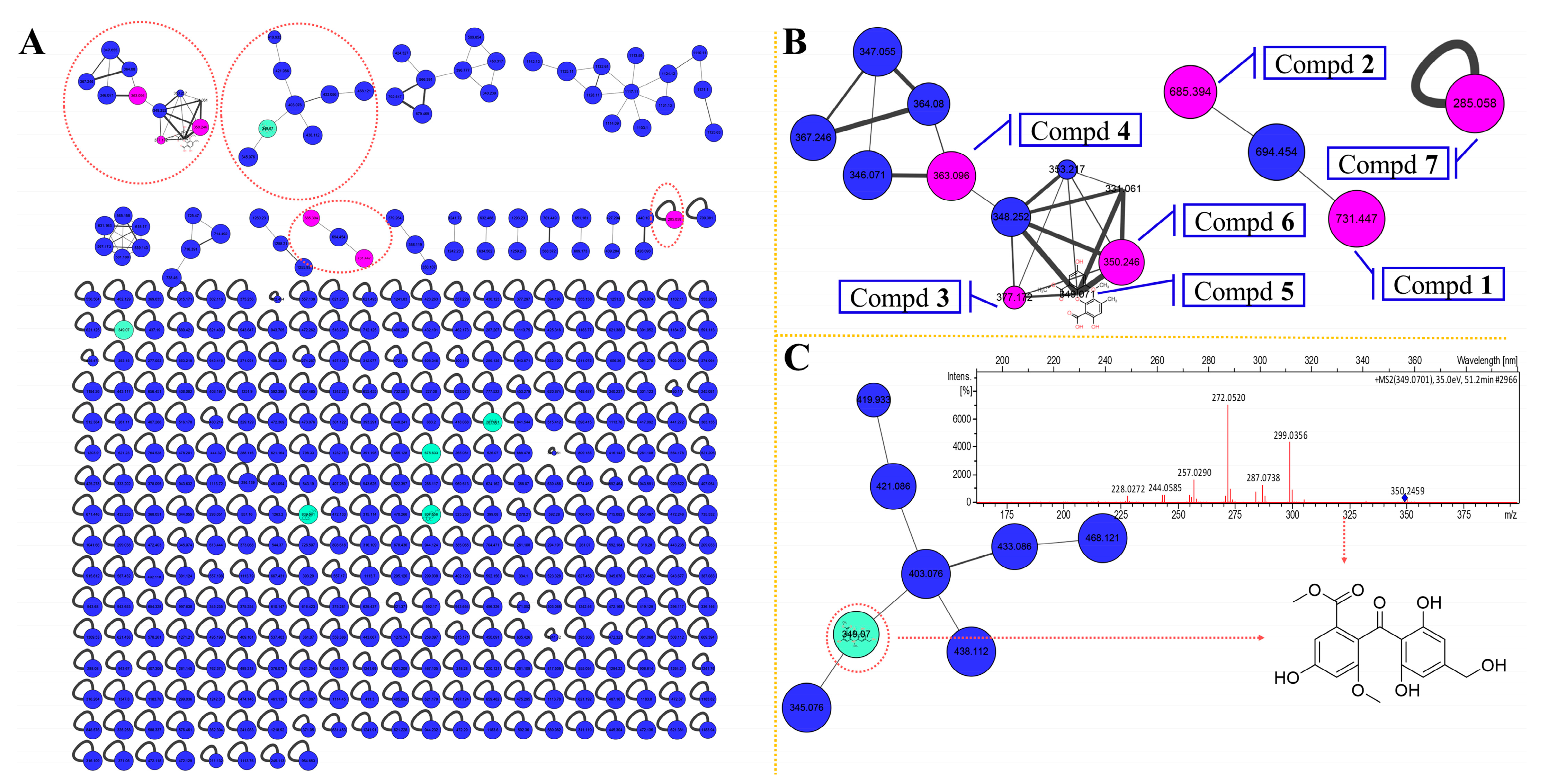 Marinedrugs 19 00168 g002