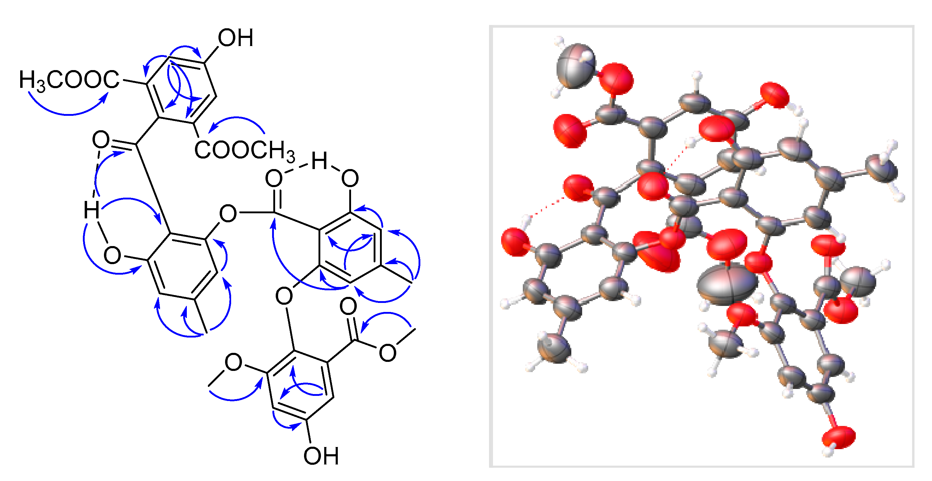 Marinedrugs 19 00168 g003