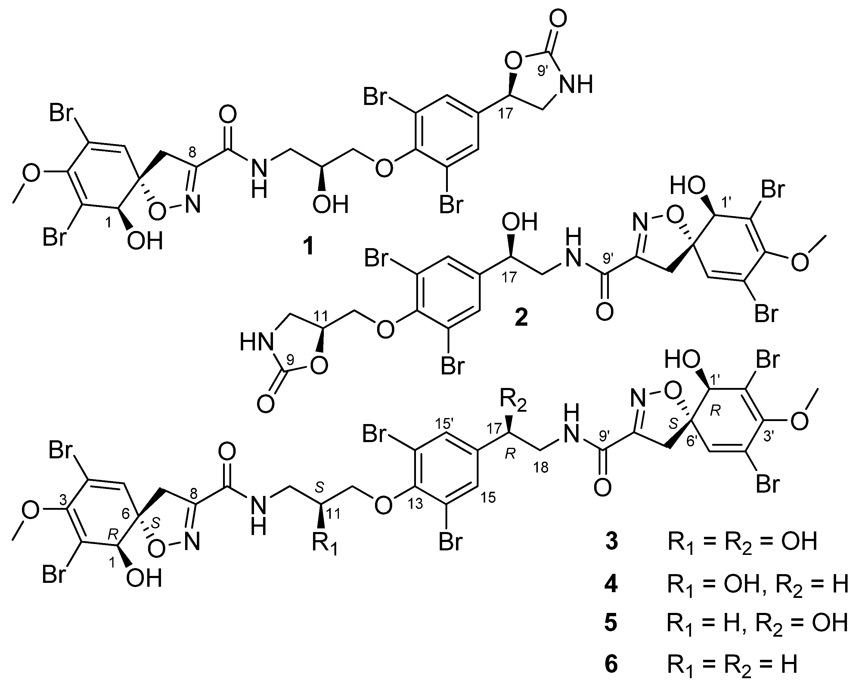 Marinedrugs 19 00170 g001 Marinedrugs 19 00170 g001