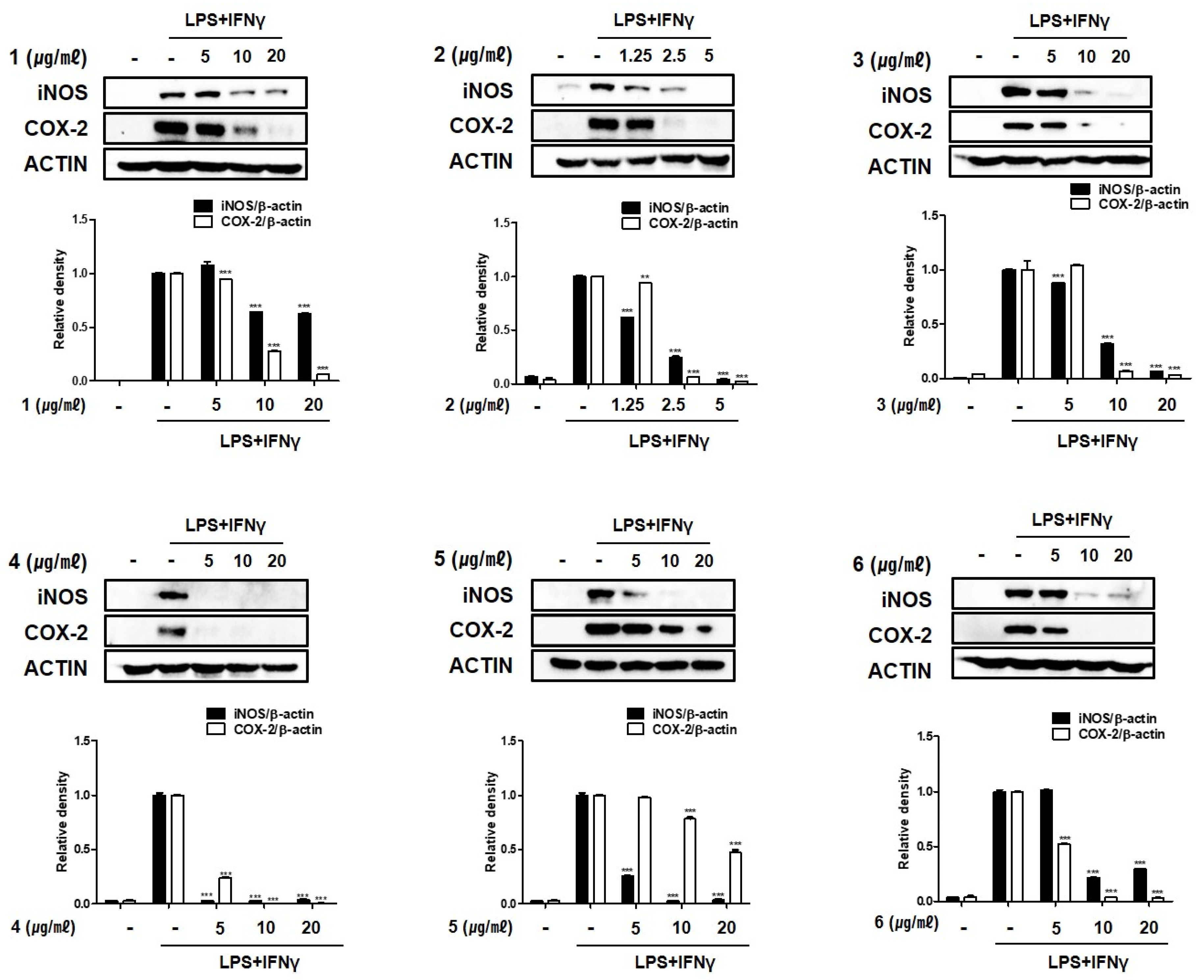 Marinedrugs 19 00170 g004 Marinedrugs 19 00170 g004