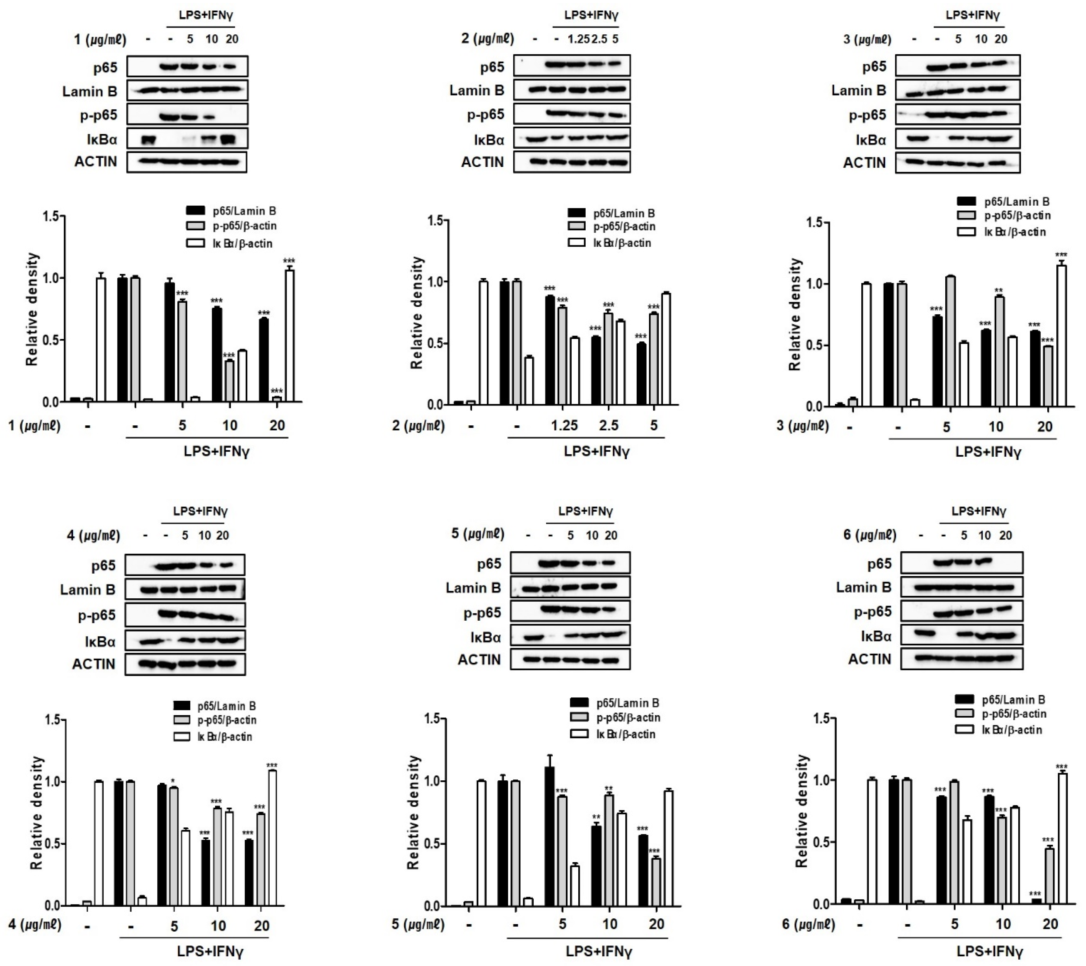 Marinedrugs 19 00170 g007 Marinedrugs 19 00170 g007