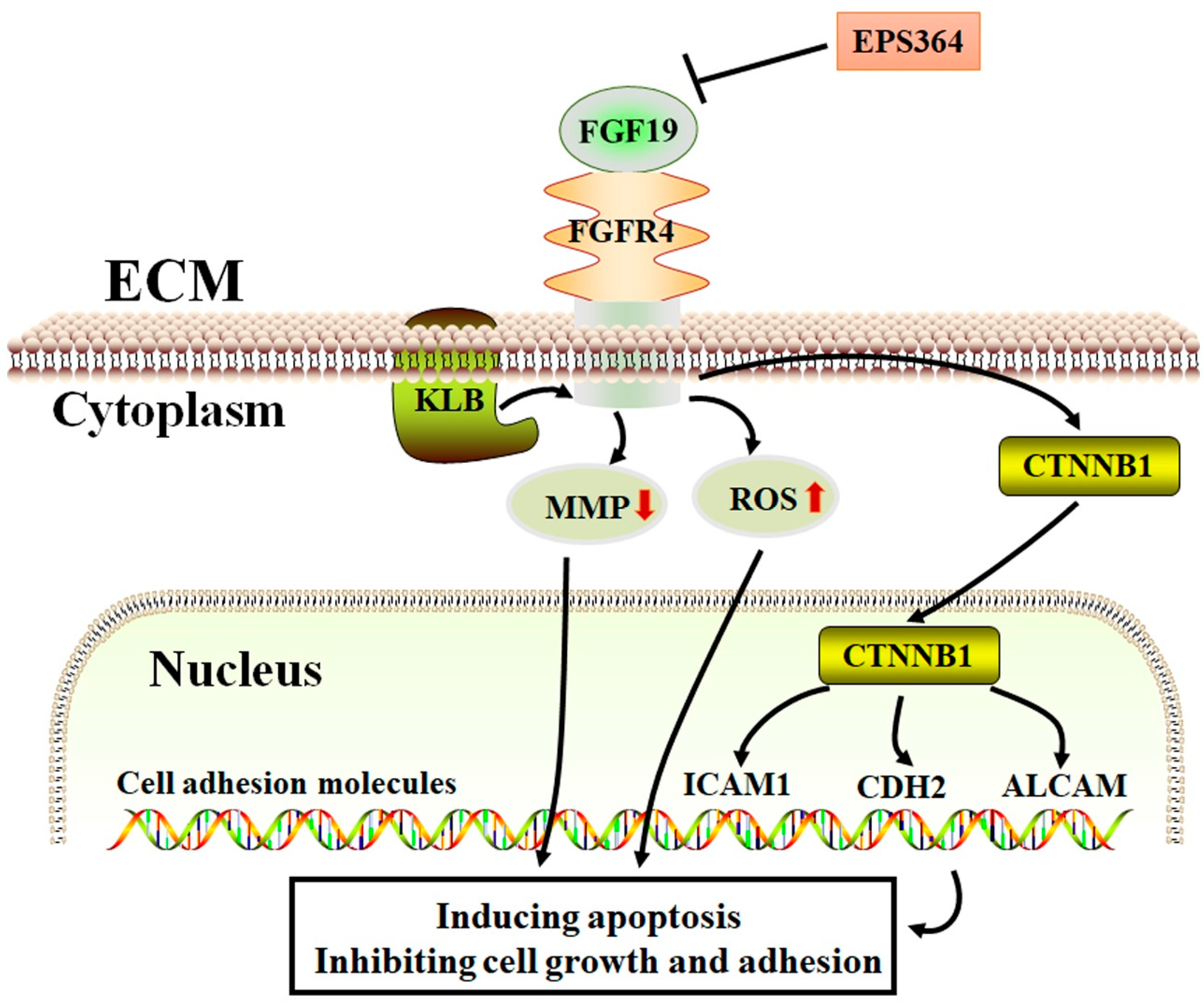 Marinedrugs 19 00171 g008 Marinedrugs 19 00171 g008