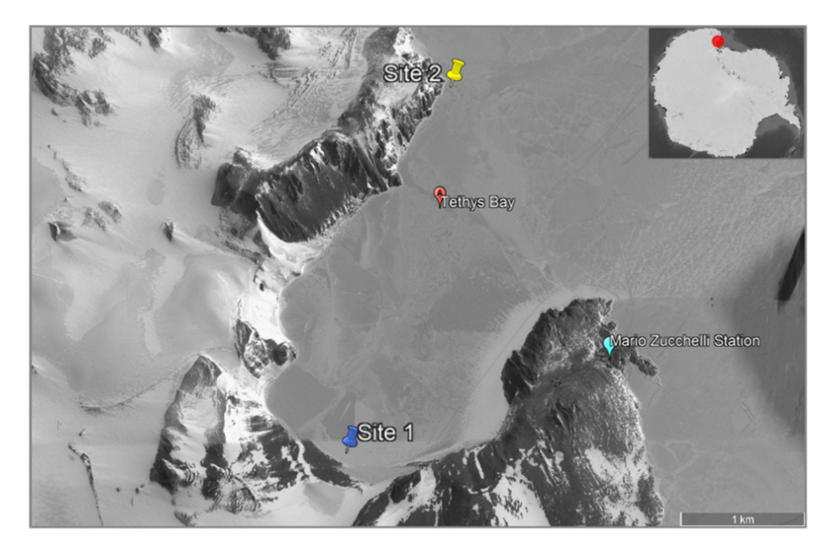 Marinedrugs 19 00173 g003