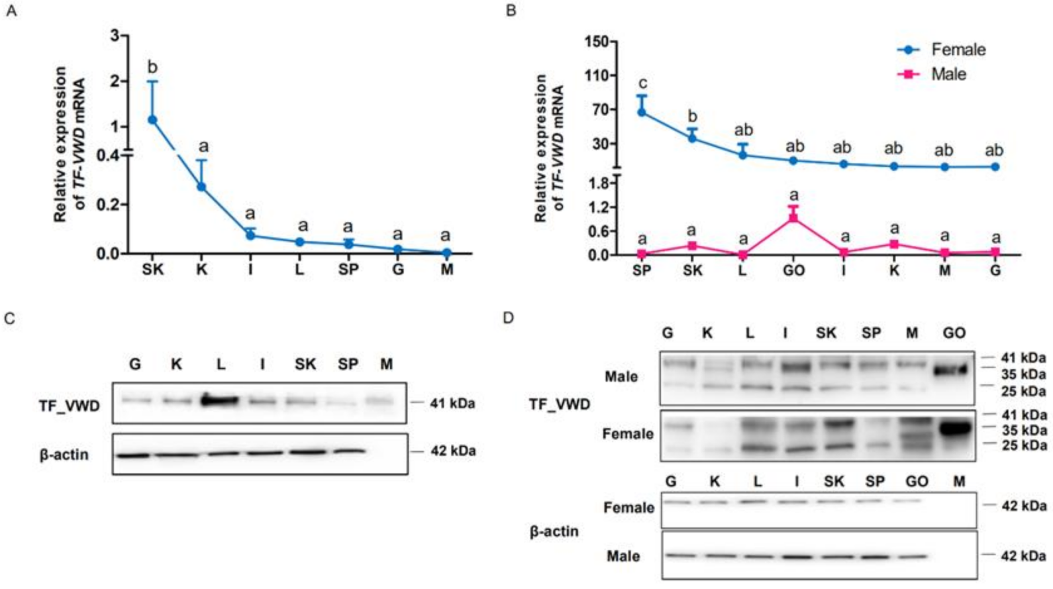Marinedrugs 19 00181 g006