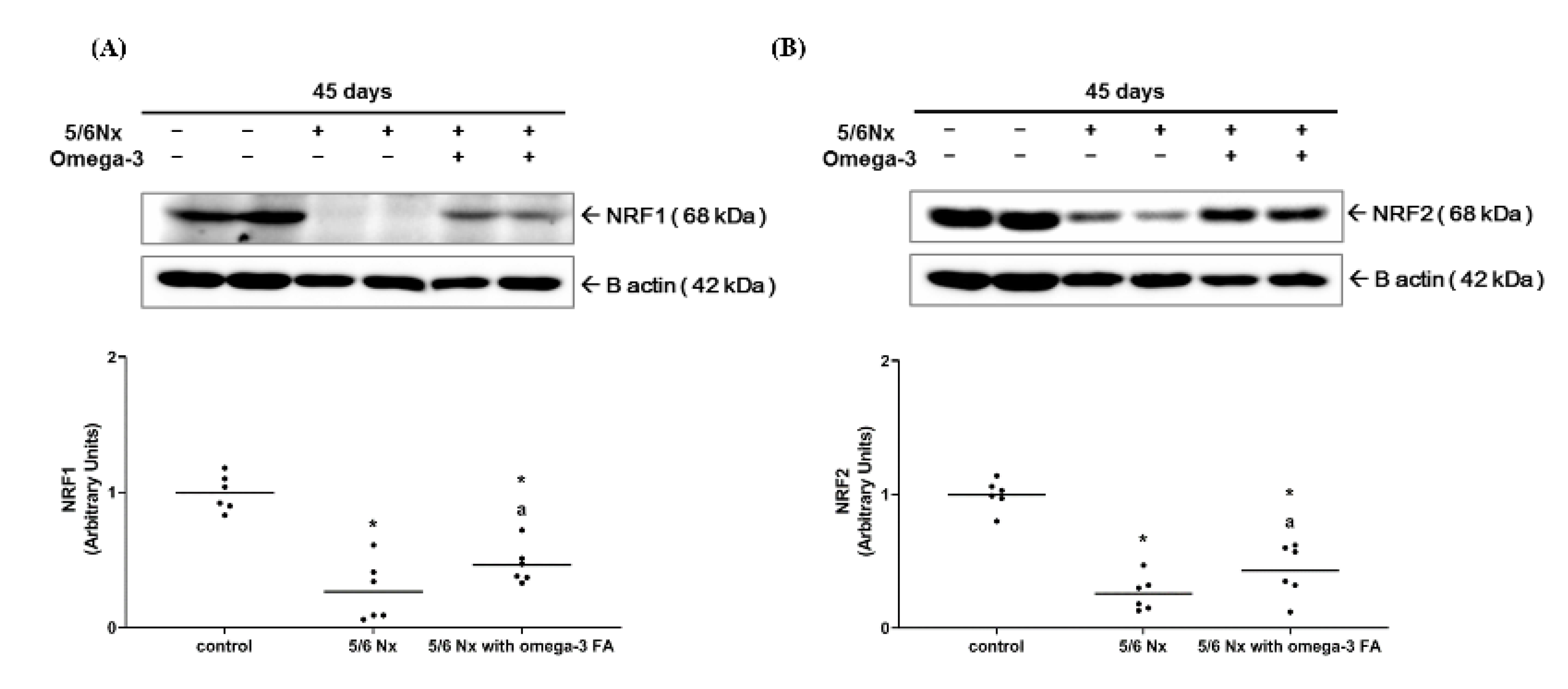 Marinedrugs 19 00182 g001