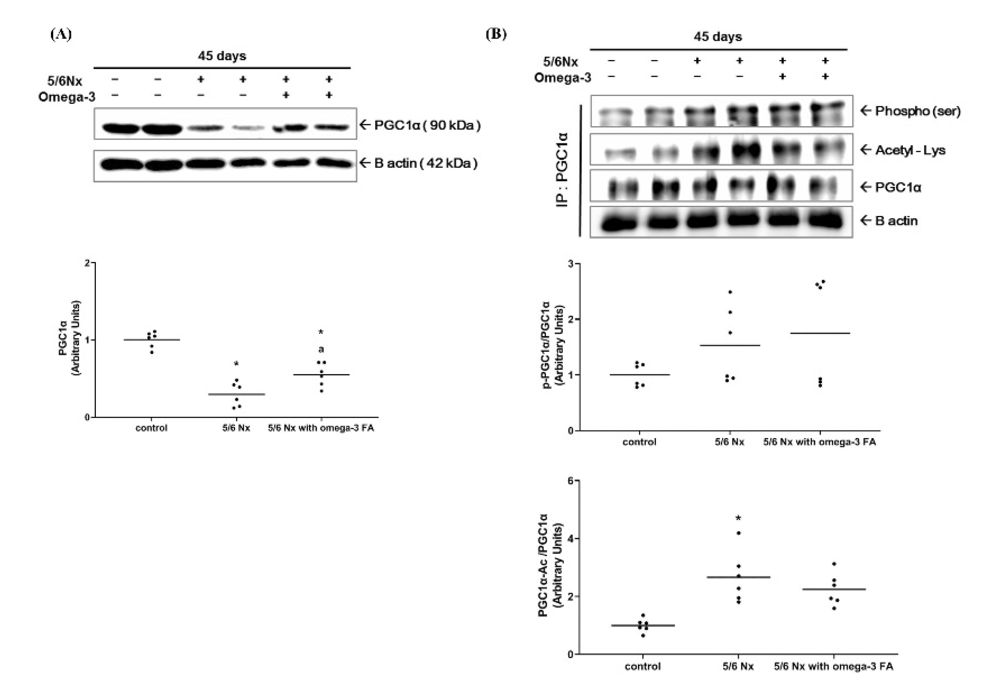 Marinedrugs 19 00182 g002