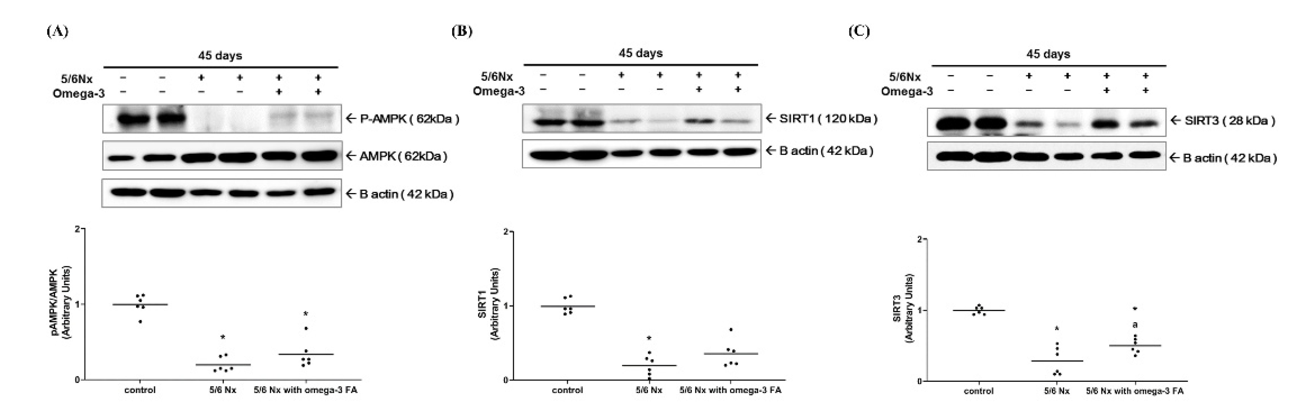 Marinedrugs 19 00182 g003