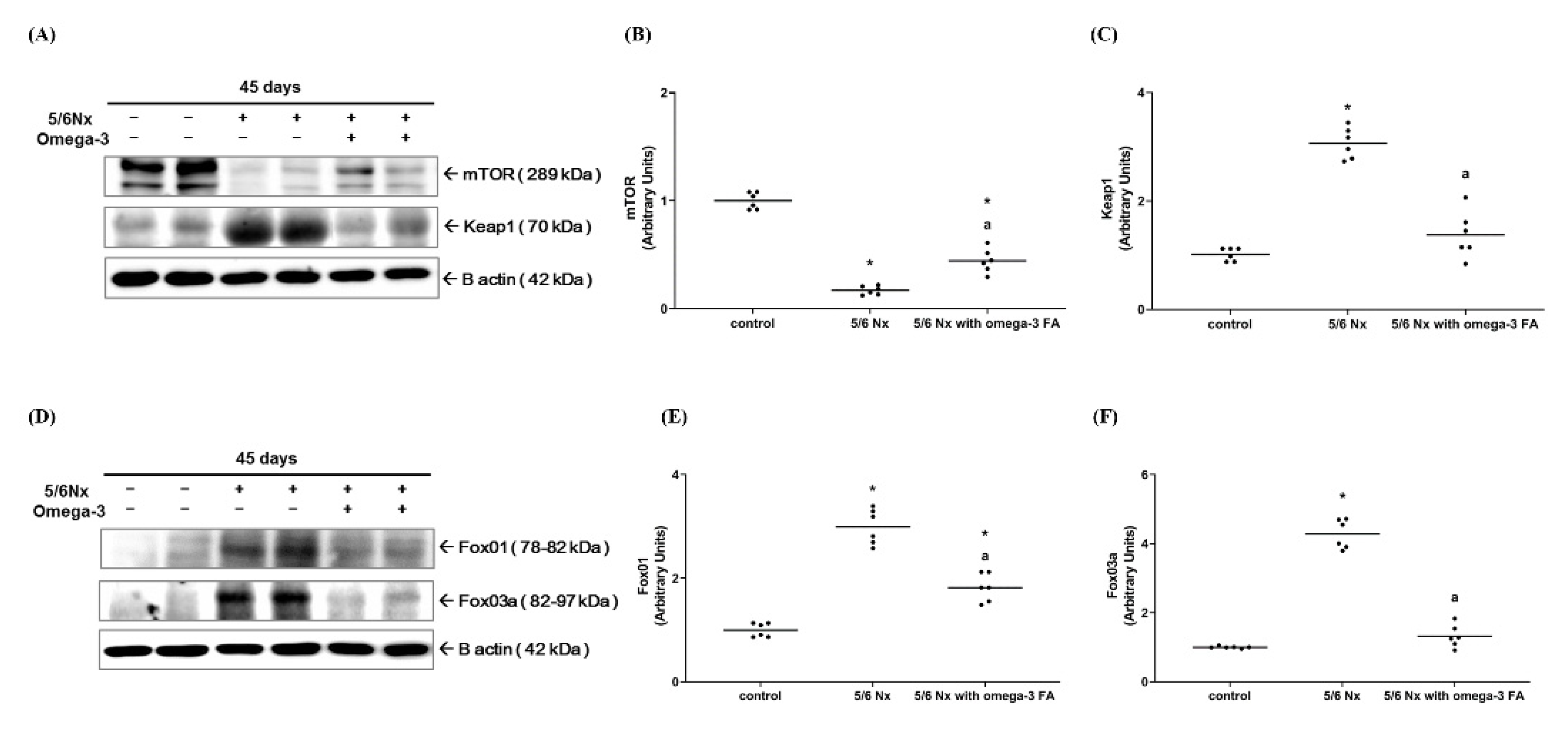 Marinedrugs 19 00182 g004