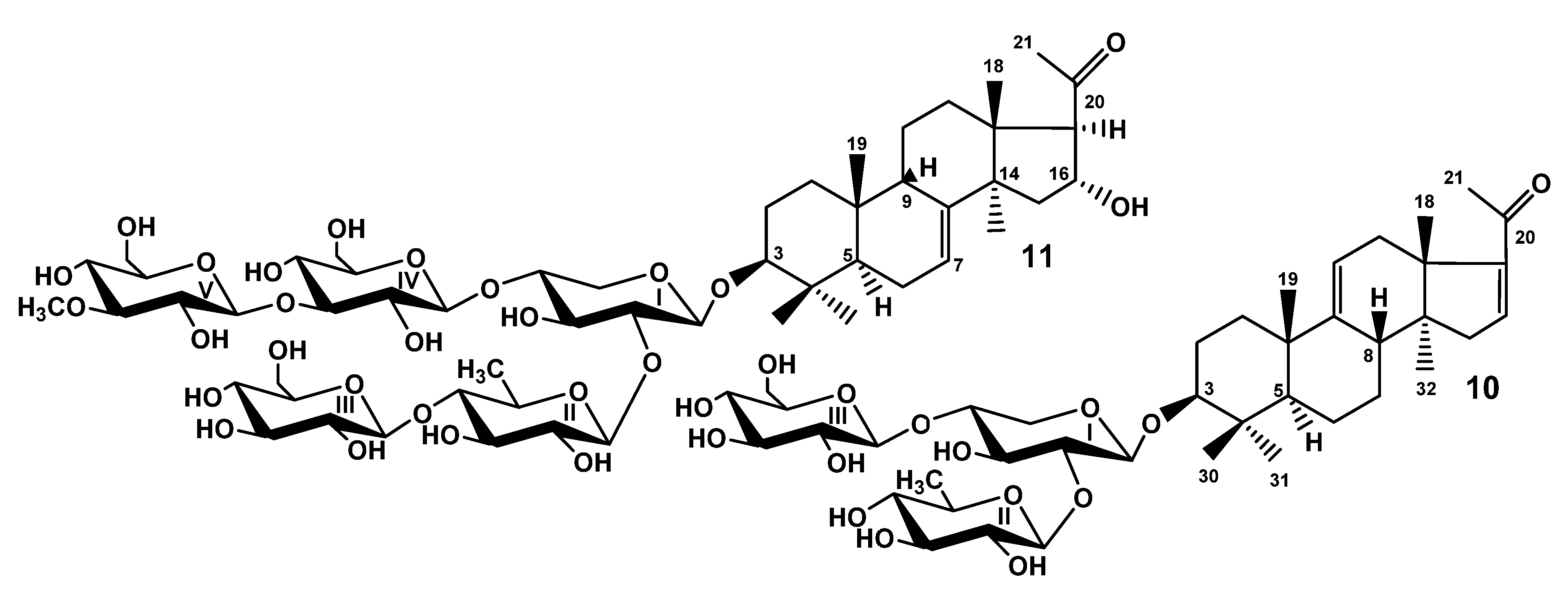 Marinedrugs 19 00187 g002
