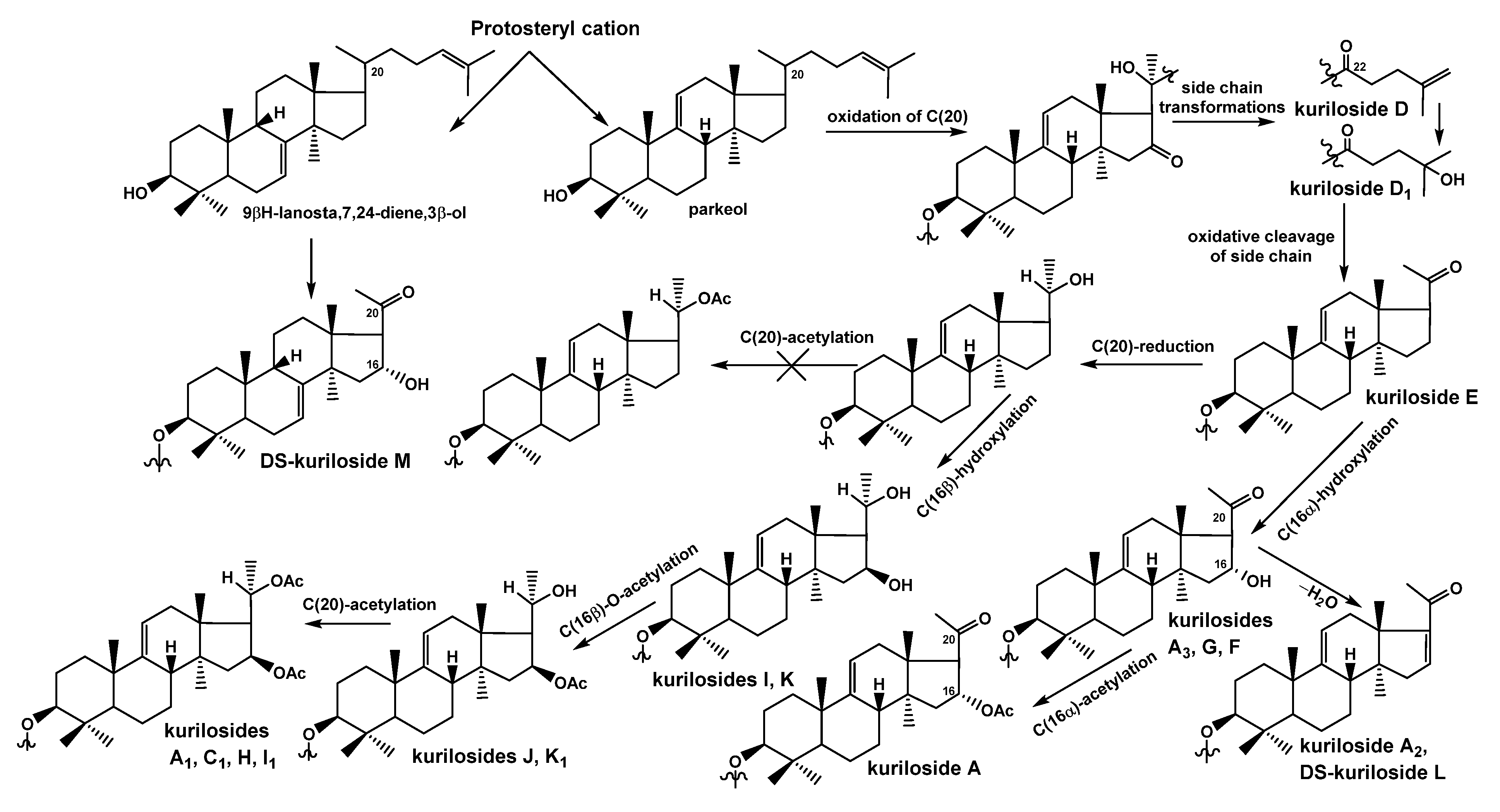 Marinedrugs 19 00187 g004