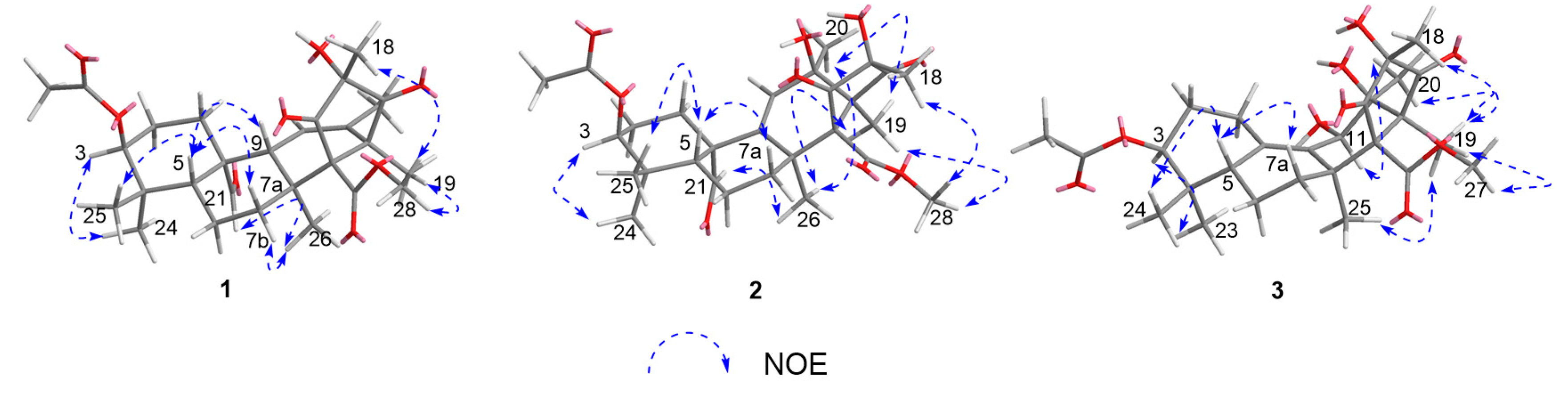 Marinedrugs 19 00189 g003