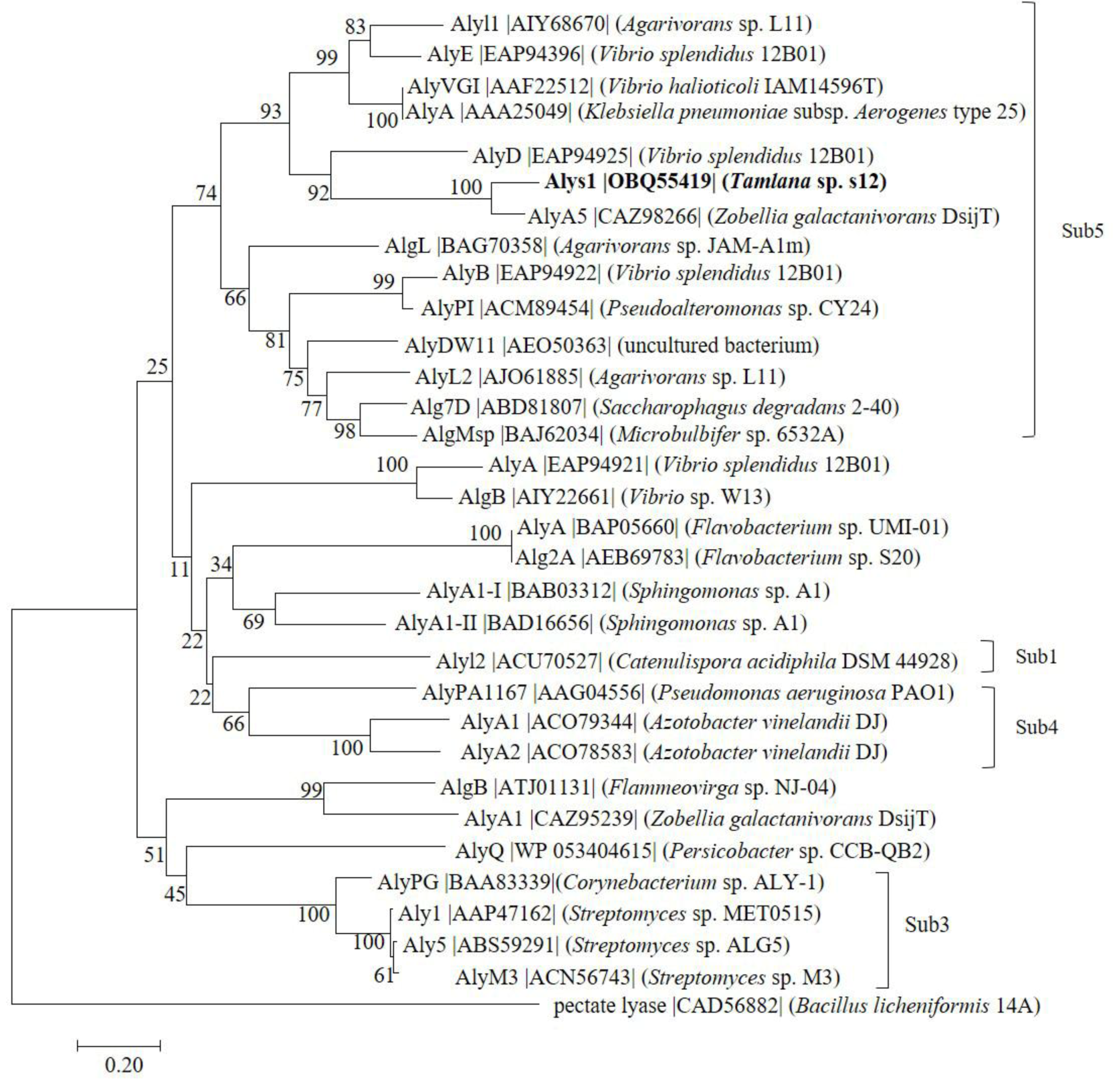 Marinedrugs 19 00191 g001 Marinedrugs 19 00191 g001