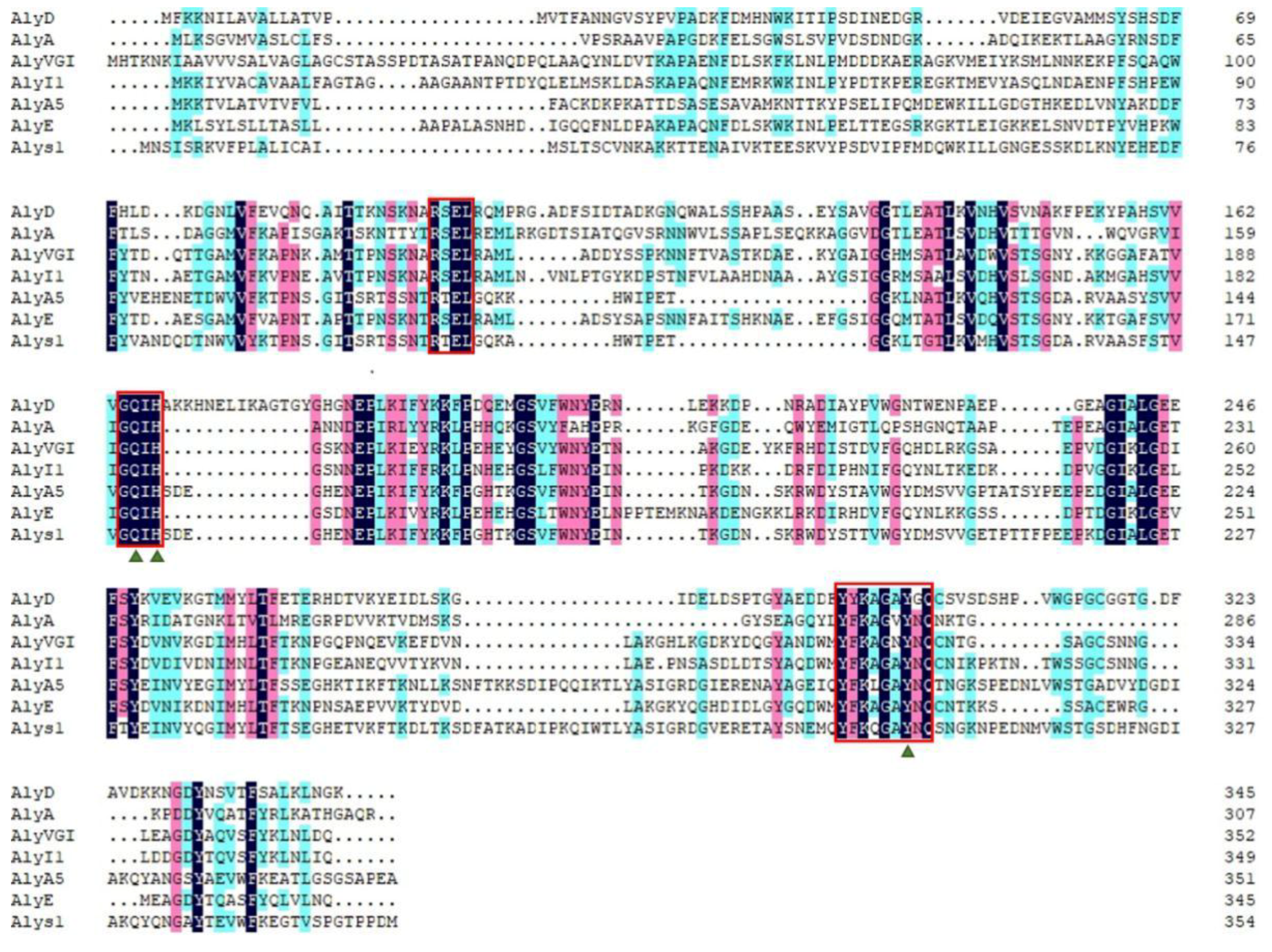 Marinedrugs 19 00191 g002 Marinedrugs 19 00191 g002