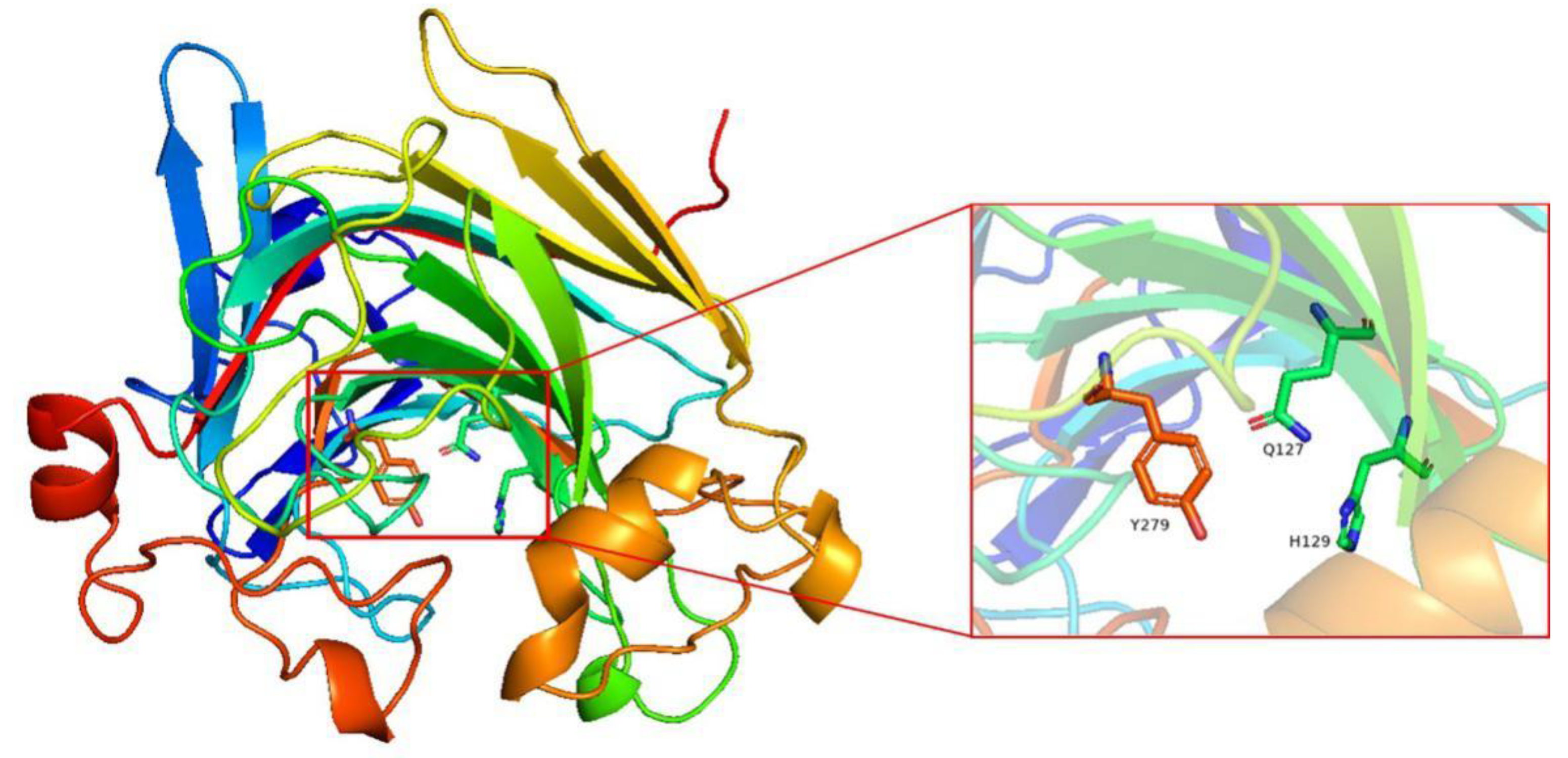 Marinedrugs 19 00191 g006 Marinedrugs 19 00191 g006