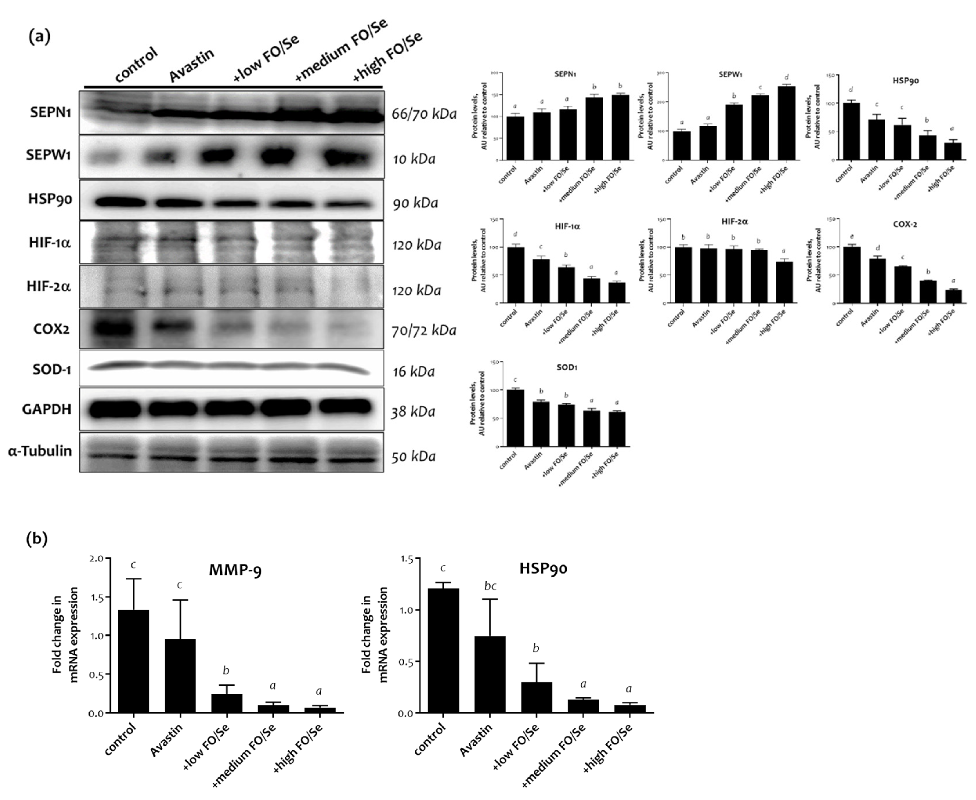 Marinedrugs 19 00193 g002