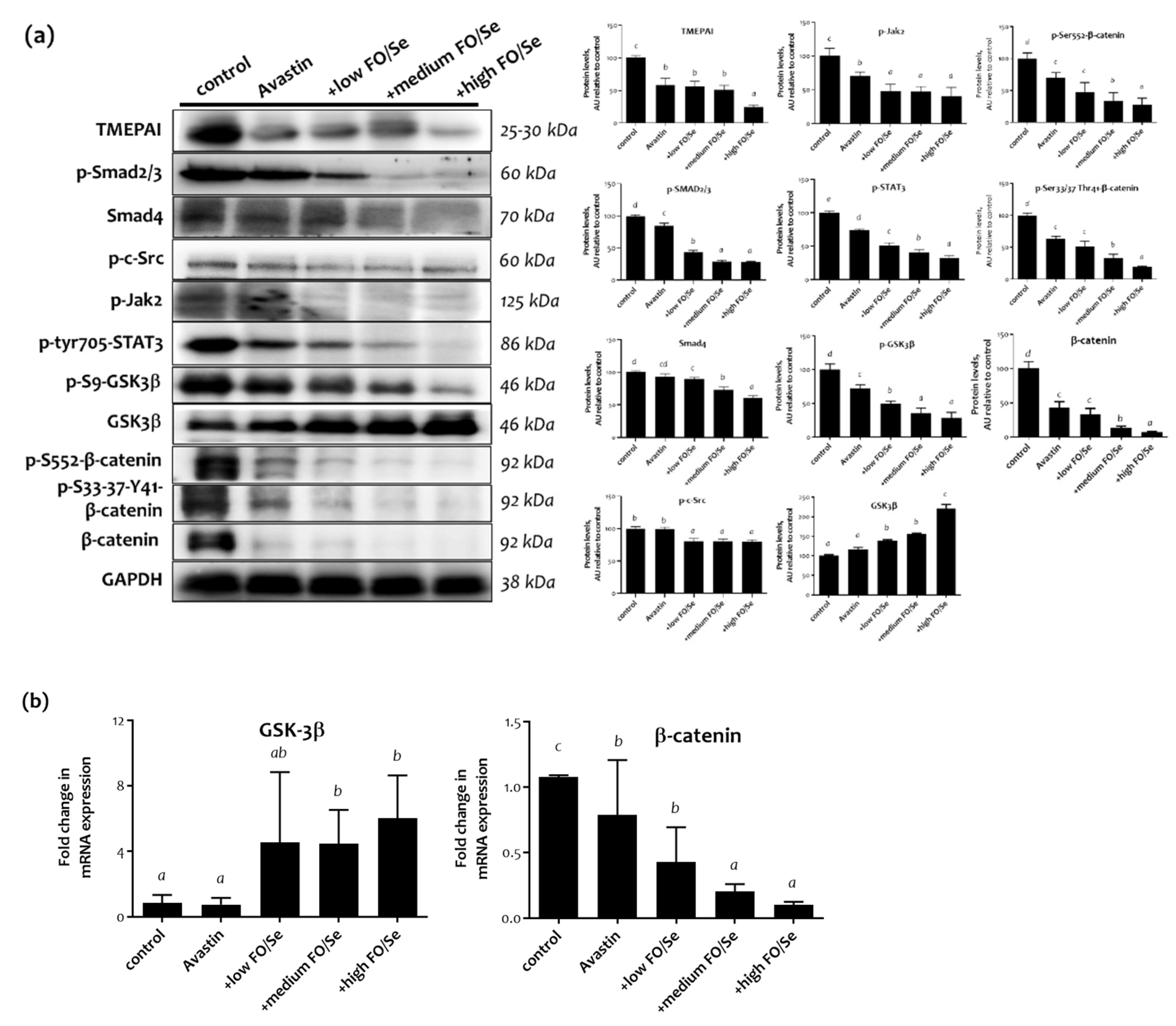 Marinedrugs 19 00193 g005