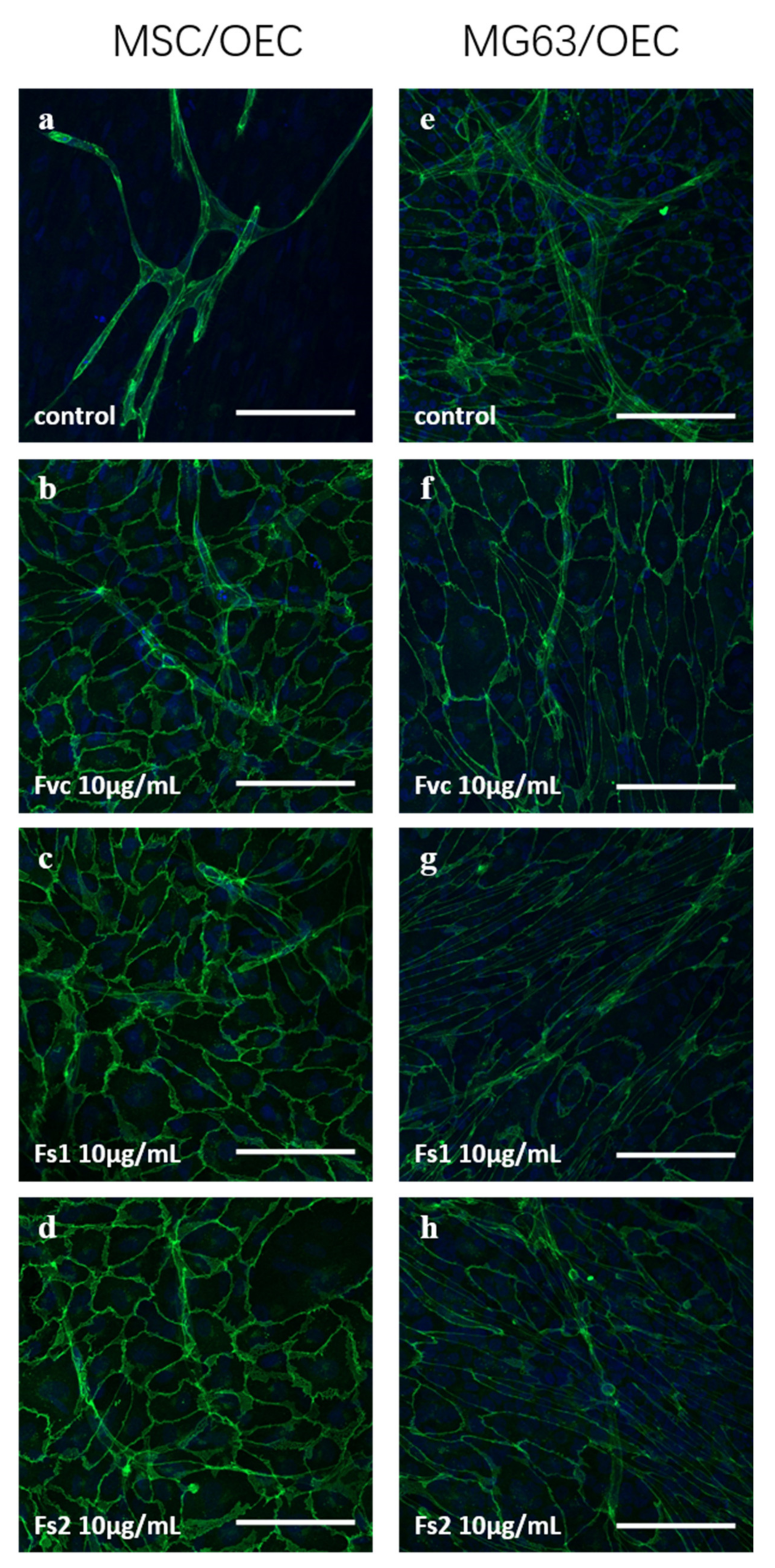 Marinedrugs 19 00194 g009