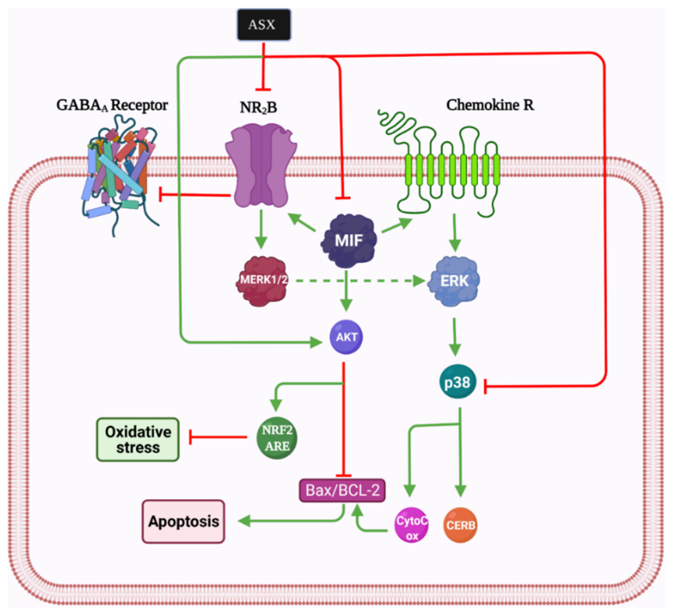 andexxa mechanism of action andexxa mechanism of action