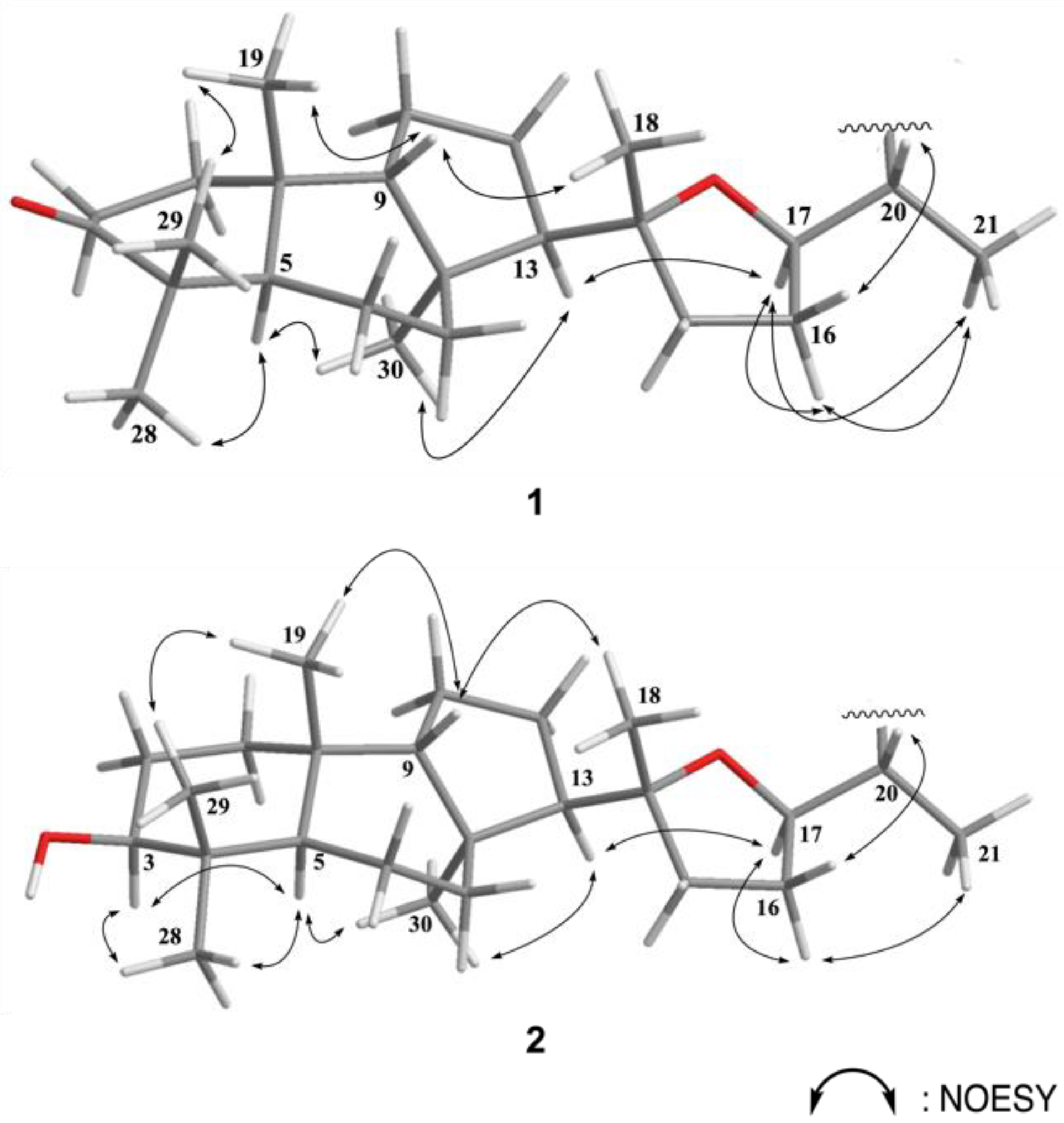 Marinedrugs 19 00206 g003