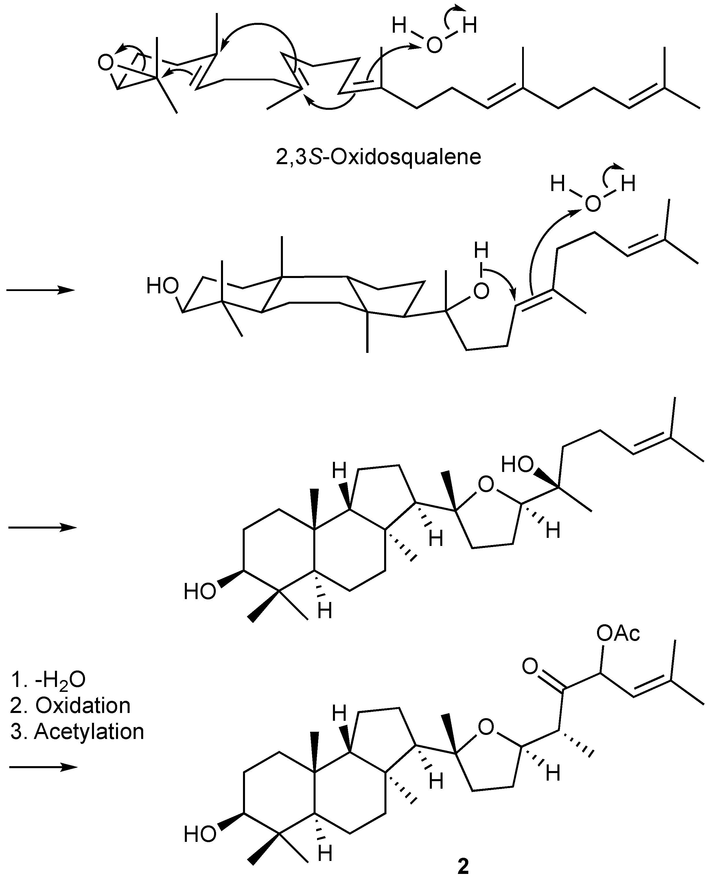 Marinedrugs 19 00206 g004