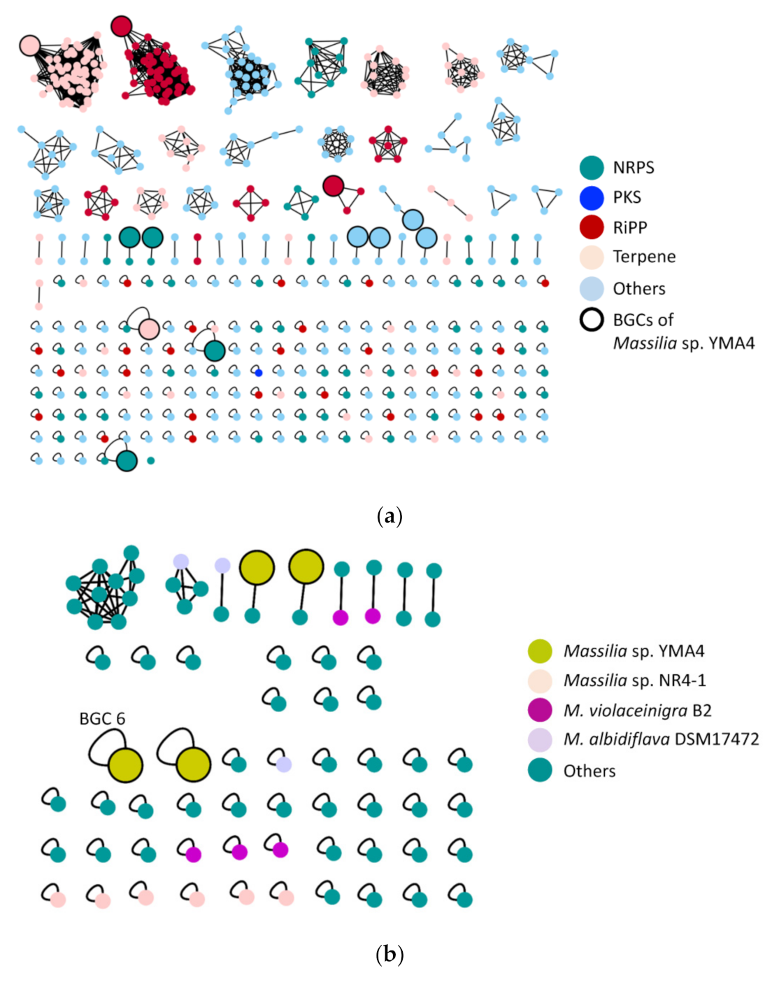 Marinedrugs 19 00209 g002 Marinedrugs 19 00209 g002
