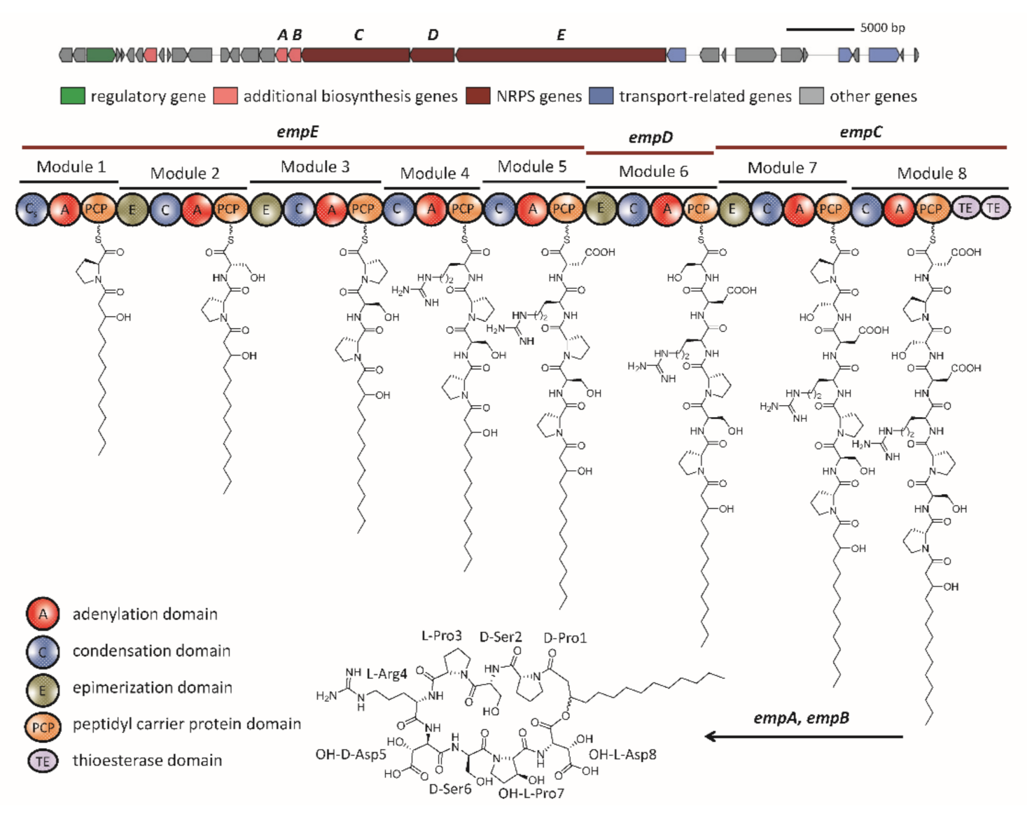 Marinedrugs 19 00209 g003 Marinedrugs 19 00209 g003