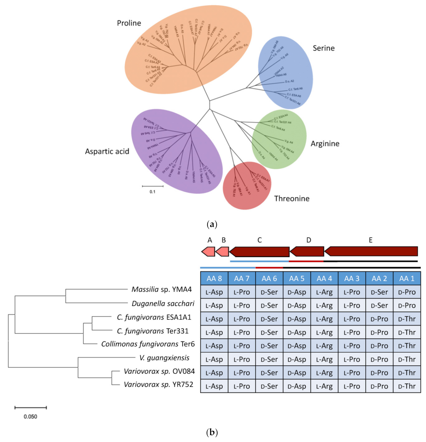 Marinedrugs 19 00209 g007 Marinedrugs 19 00209 g007