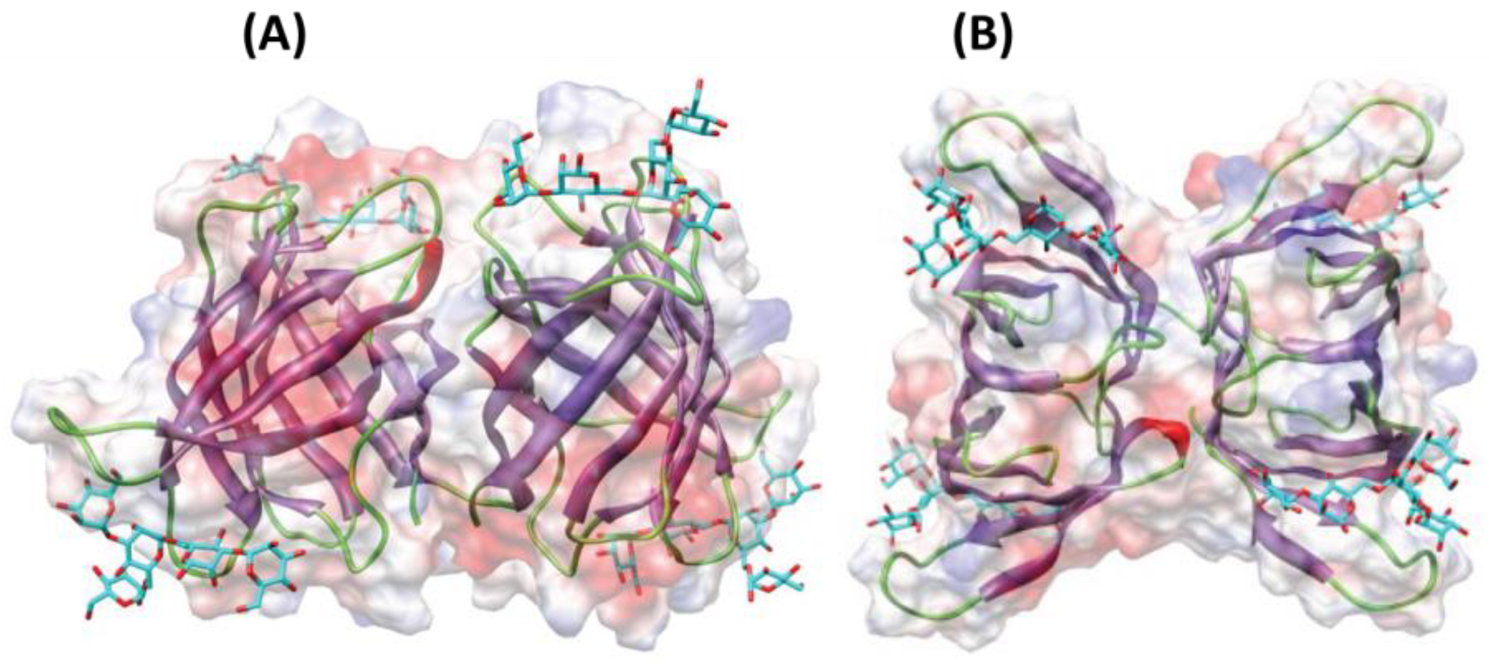 Marinedrugs 19 00211 g003 Marinedrugs 19 00211 g003