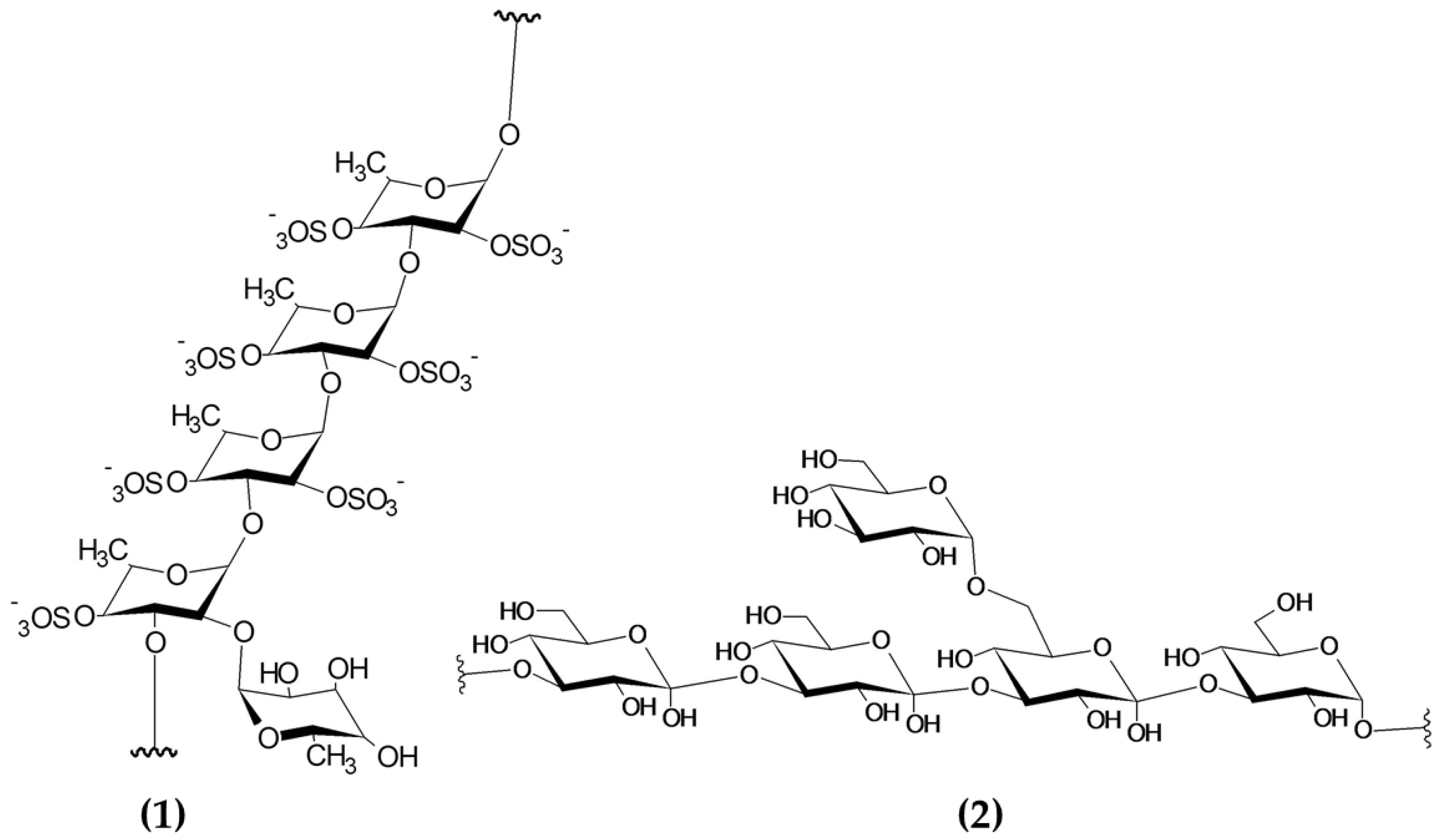 Marinedrugs 19 00211 g005 Marinedrugs 19 00211 g005
