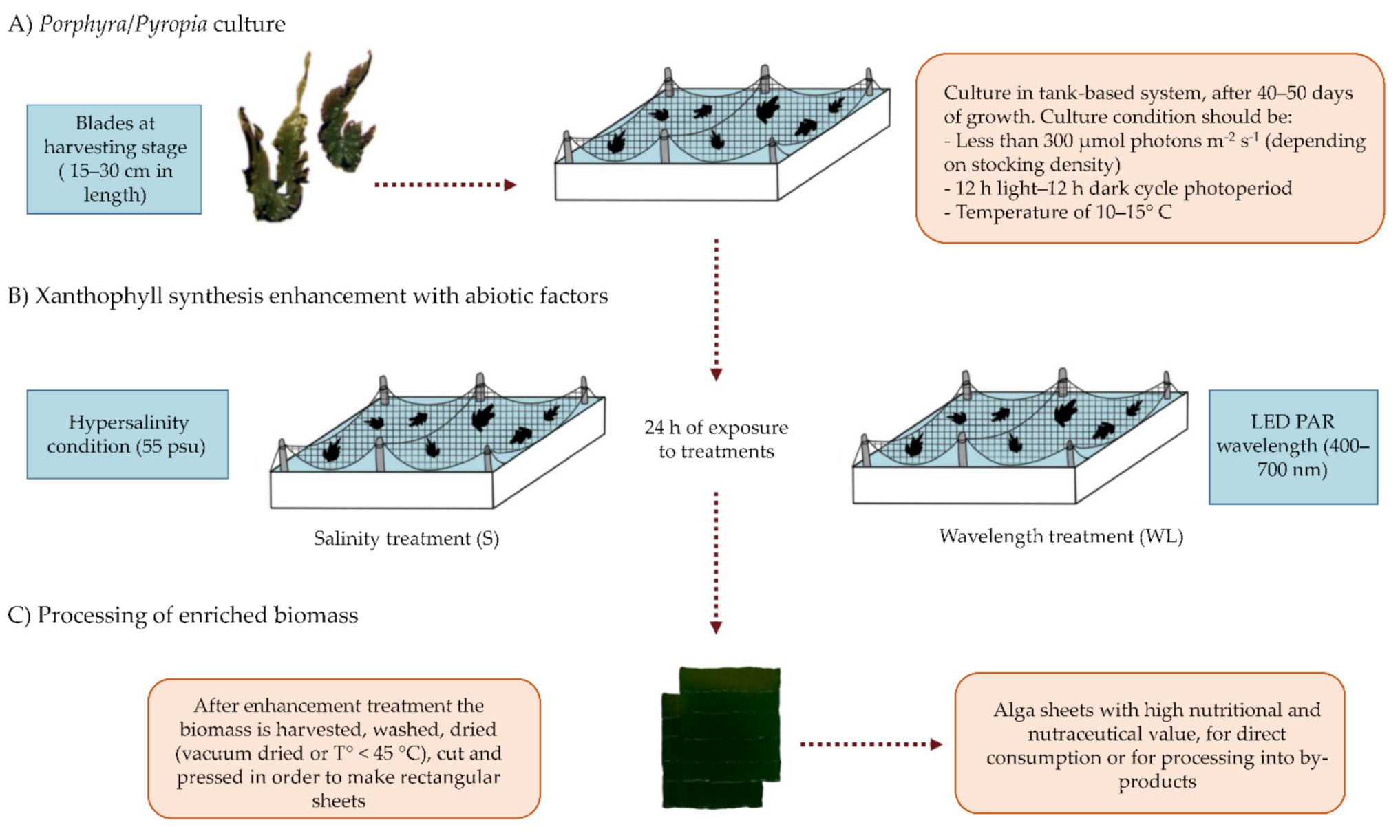 Marinedrugs 19 00221 g007 Marinedrugs 19 00221 g007